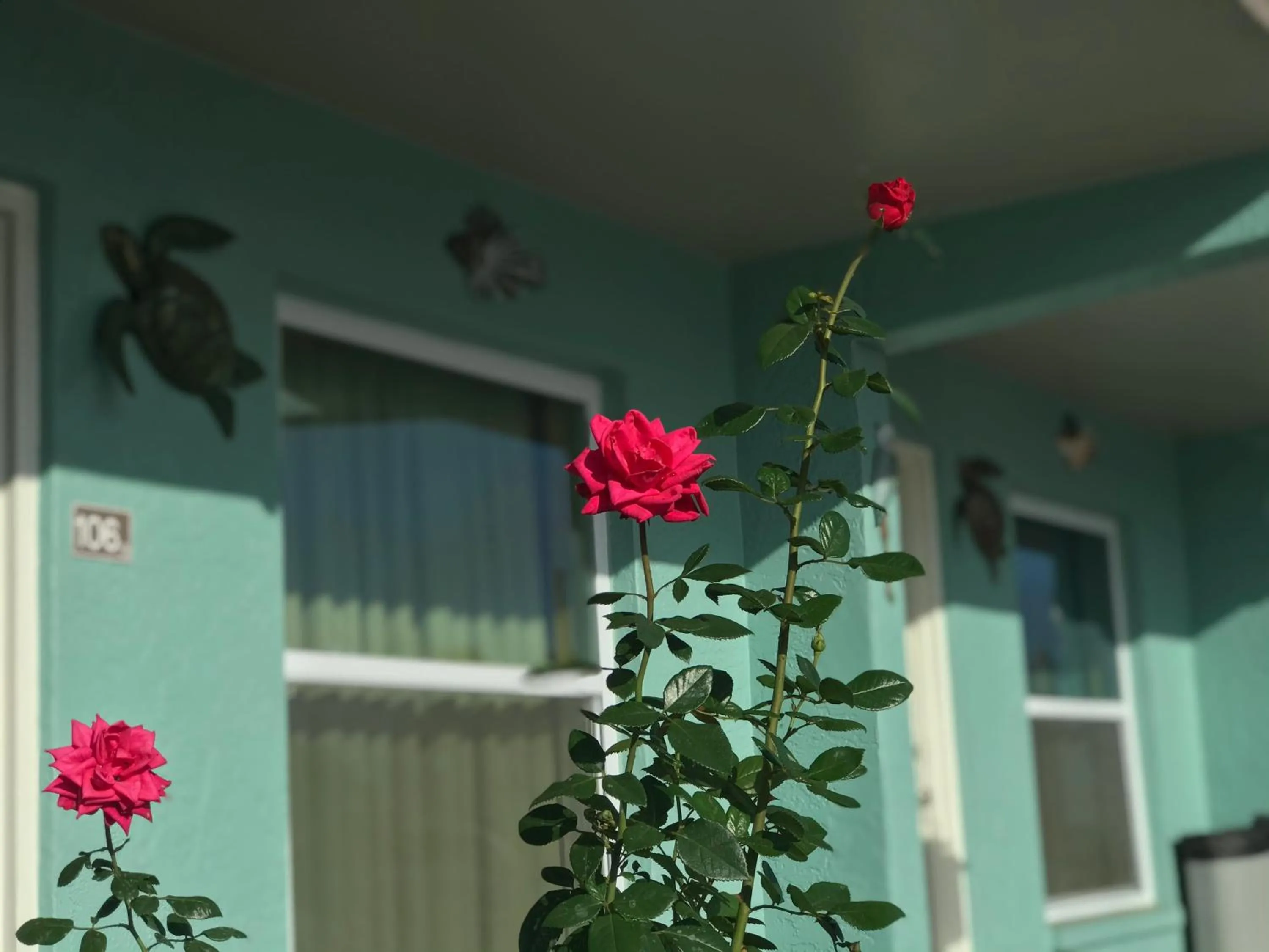 Property building in Immokalee Inn