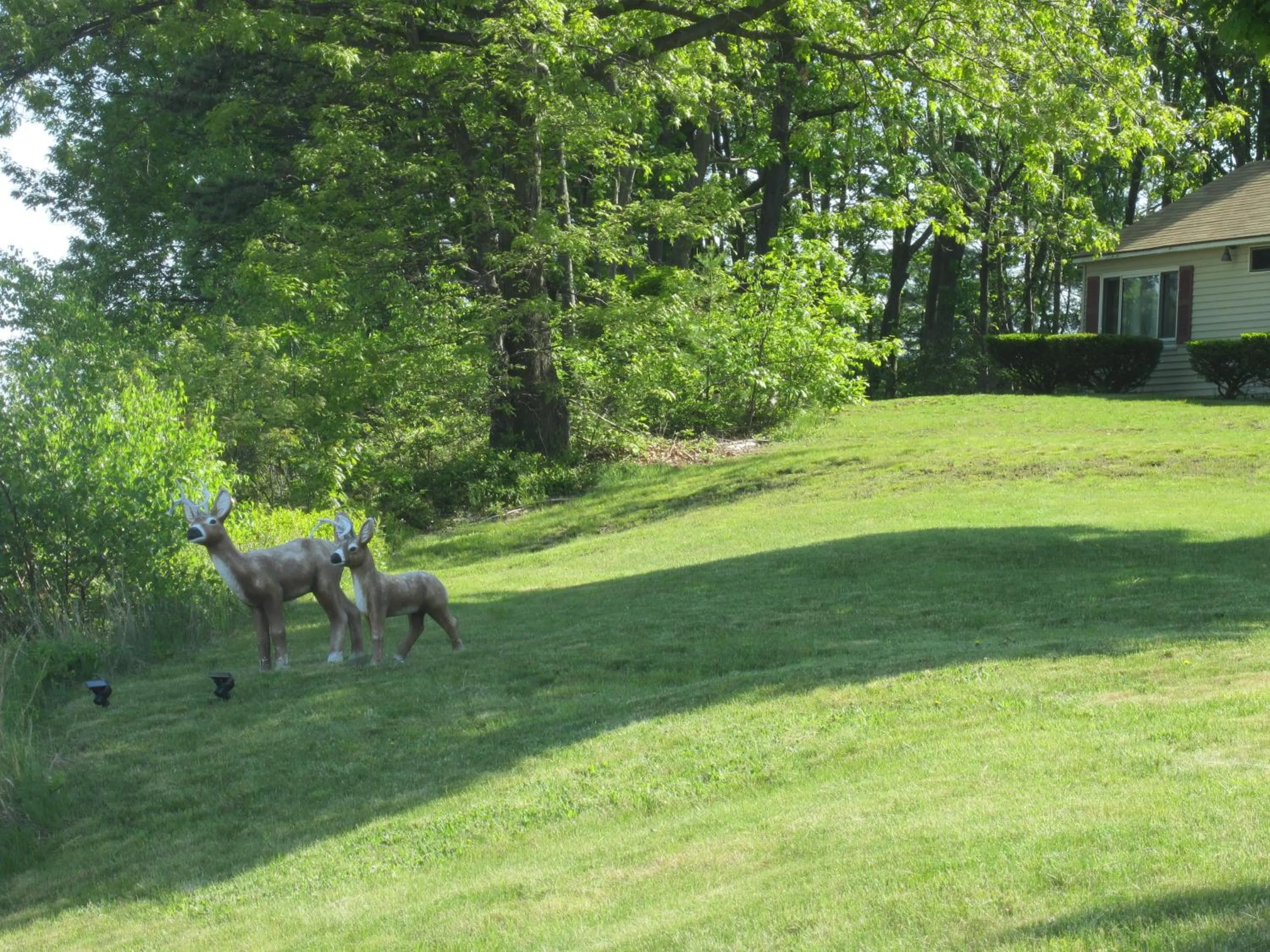 Street view in Northeaster Motel