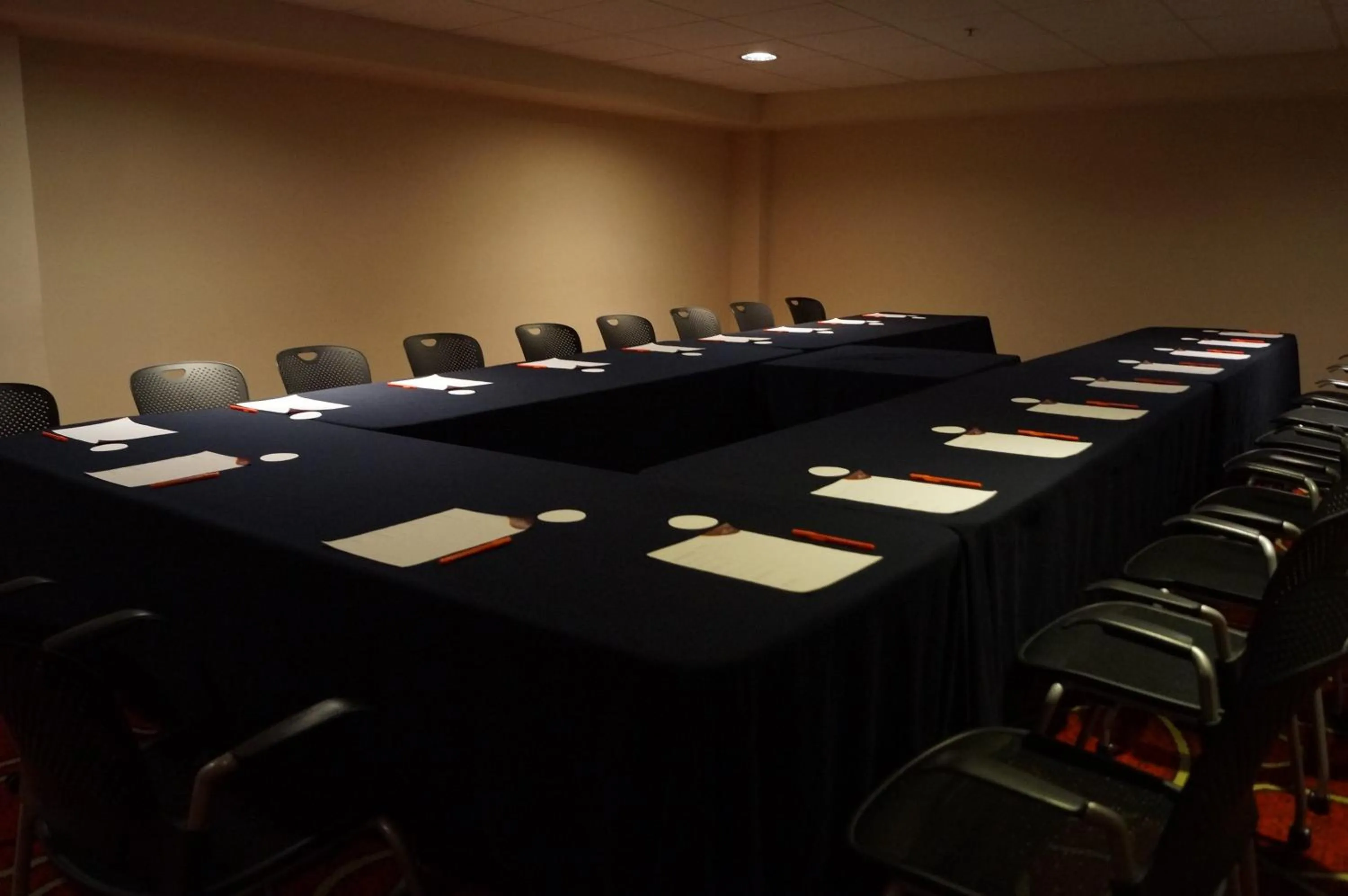 Meeting/conference room in Holiday Inn Tuxpan - Convention Center by IHG