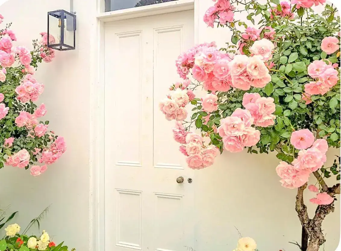 Property building in Clonmara Country House and Cottages Property building in Clonmara Country House and Cottages