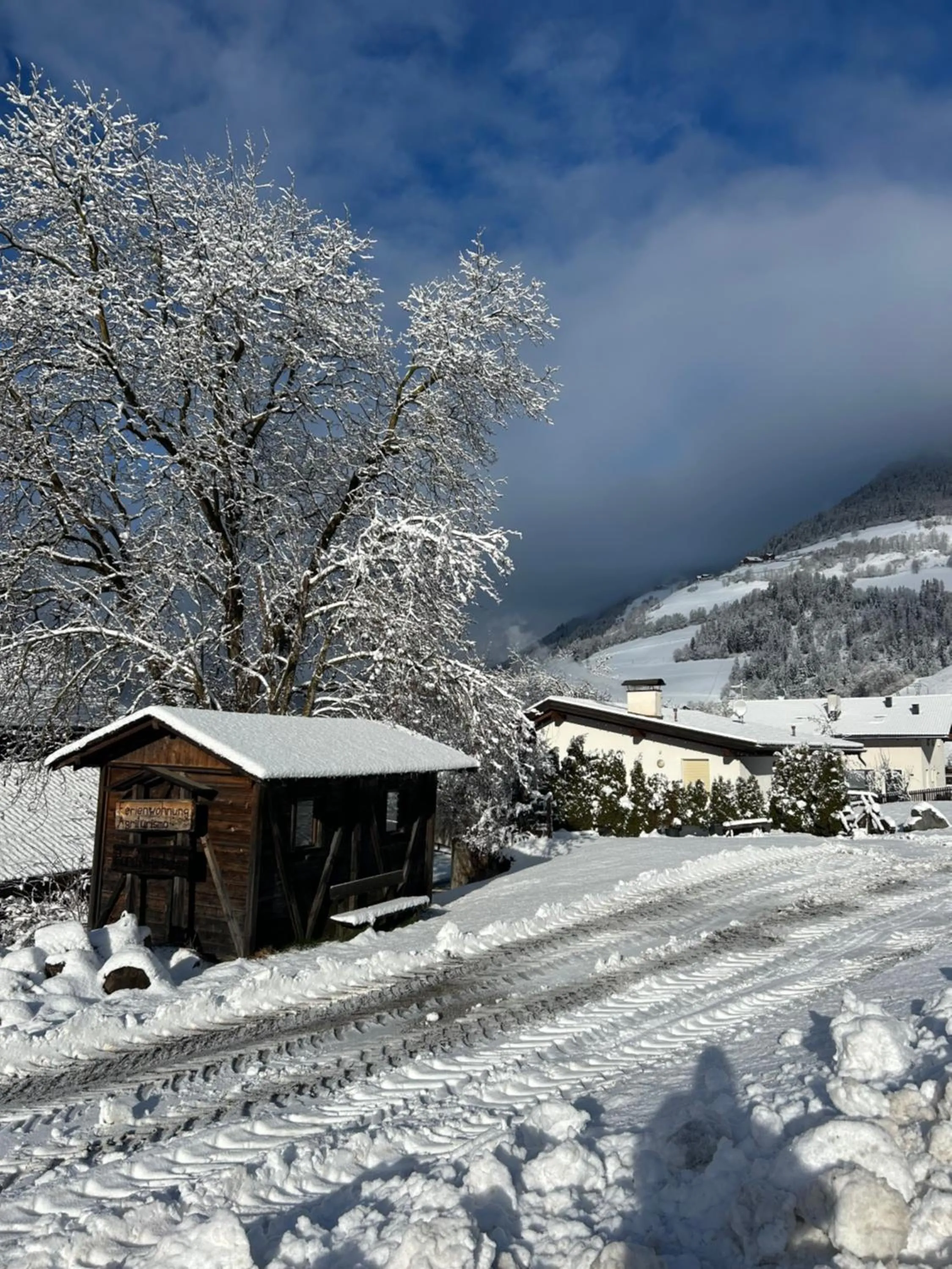 Pardellerhof Lüsen