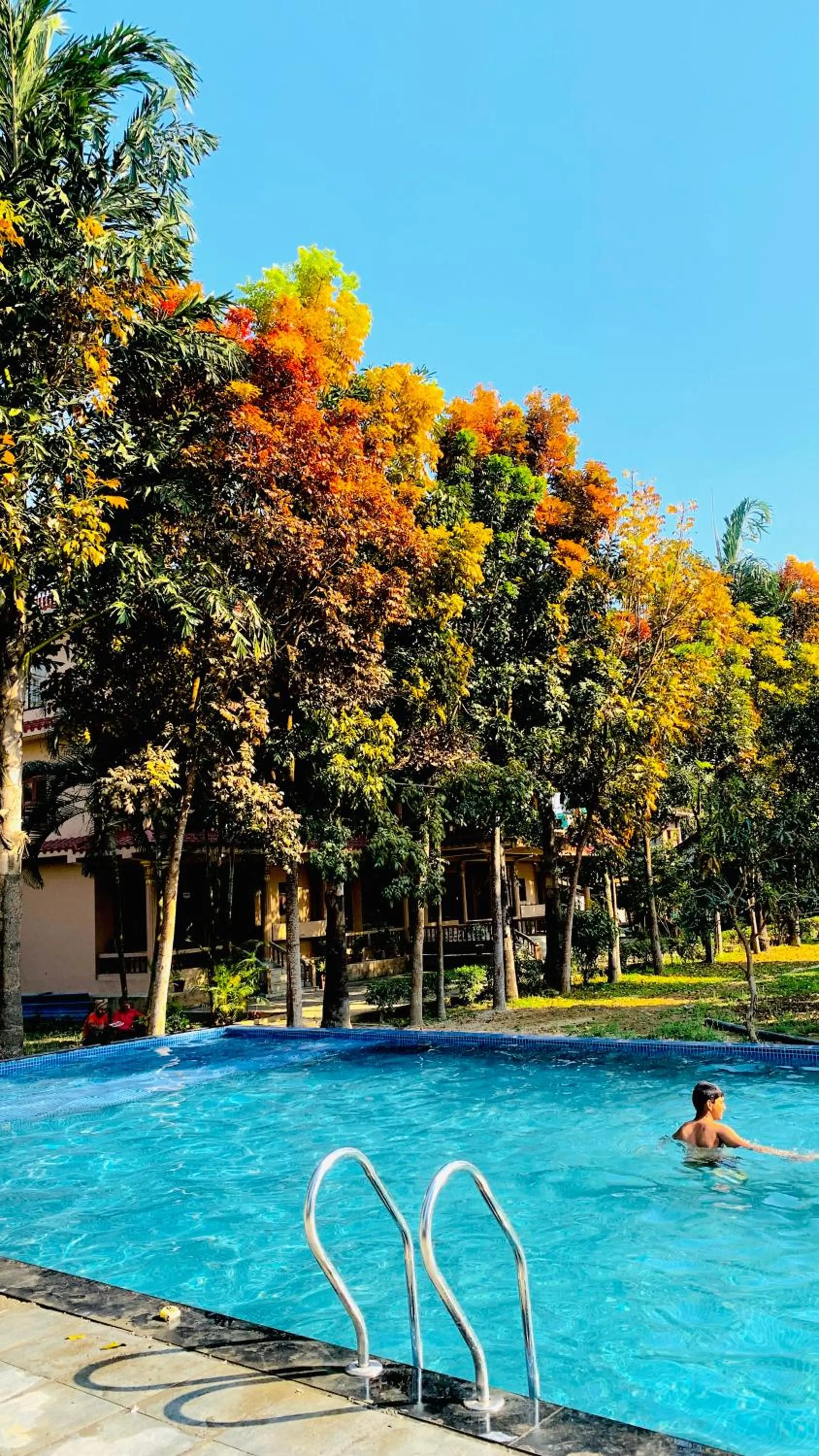 Chitwan Forest Resort with swimming pool , Chitwan National Park