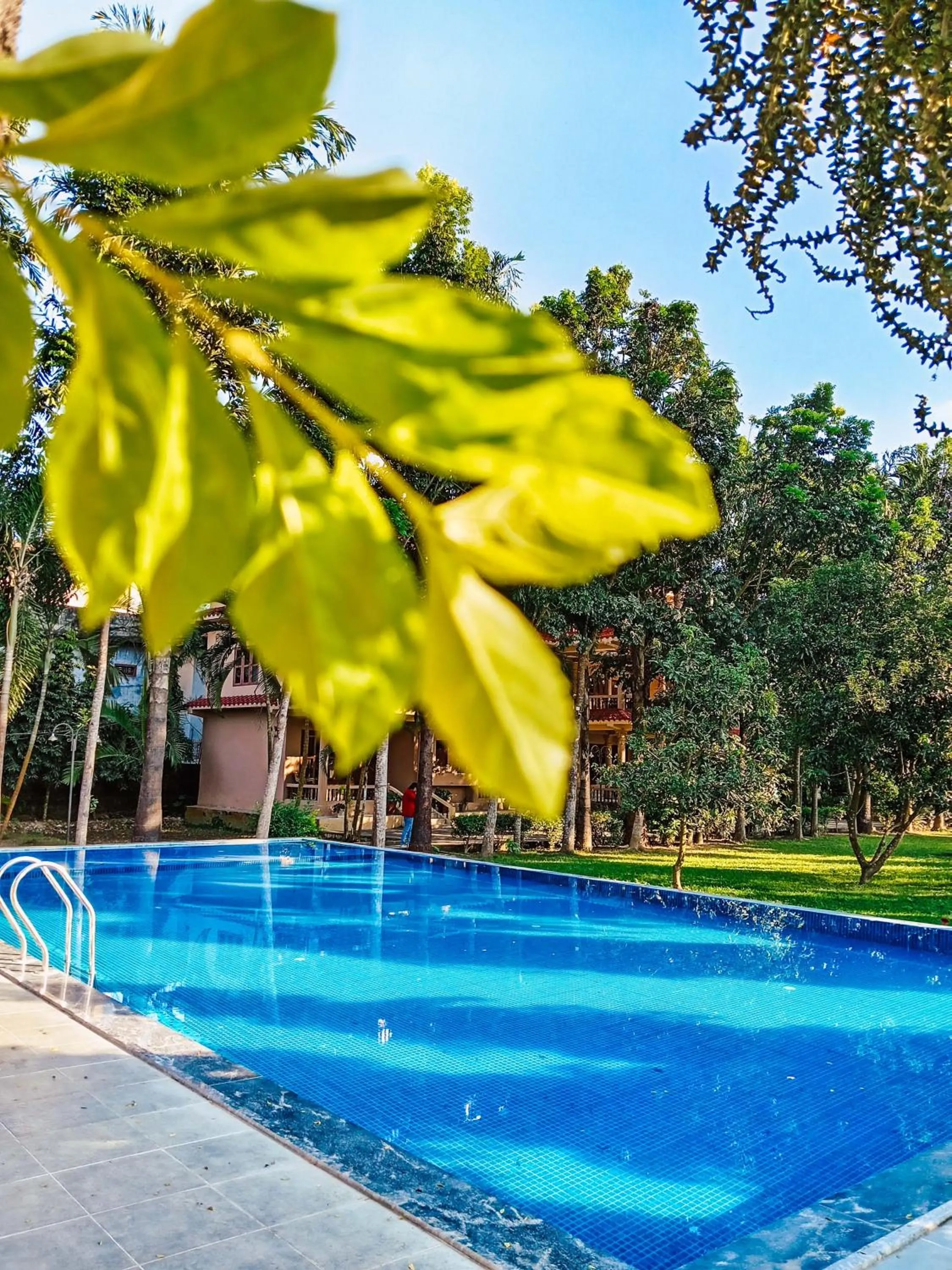 Swimming pool in Chitwan Forest Resort with swimming pool , Chitwan National Park