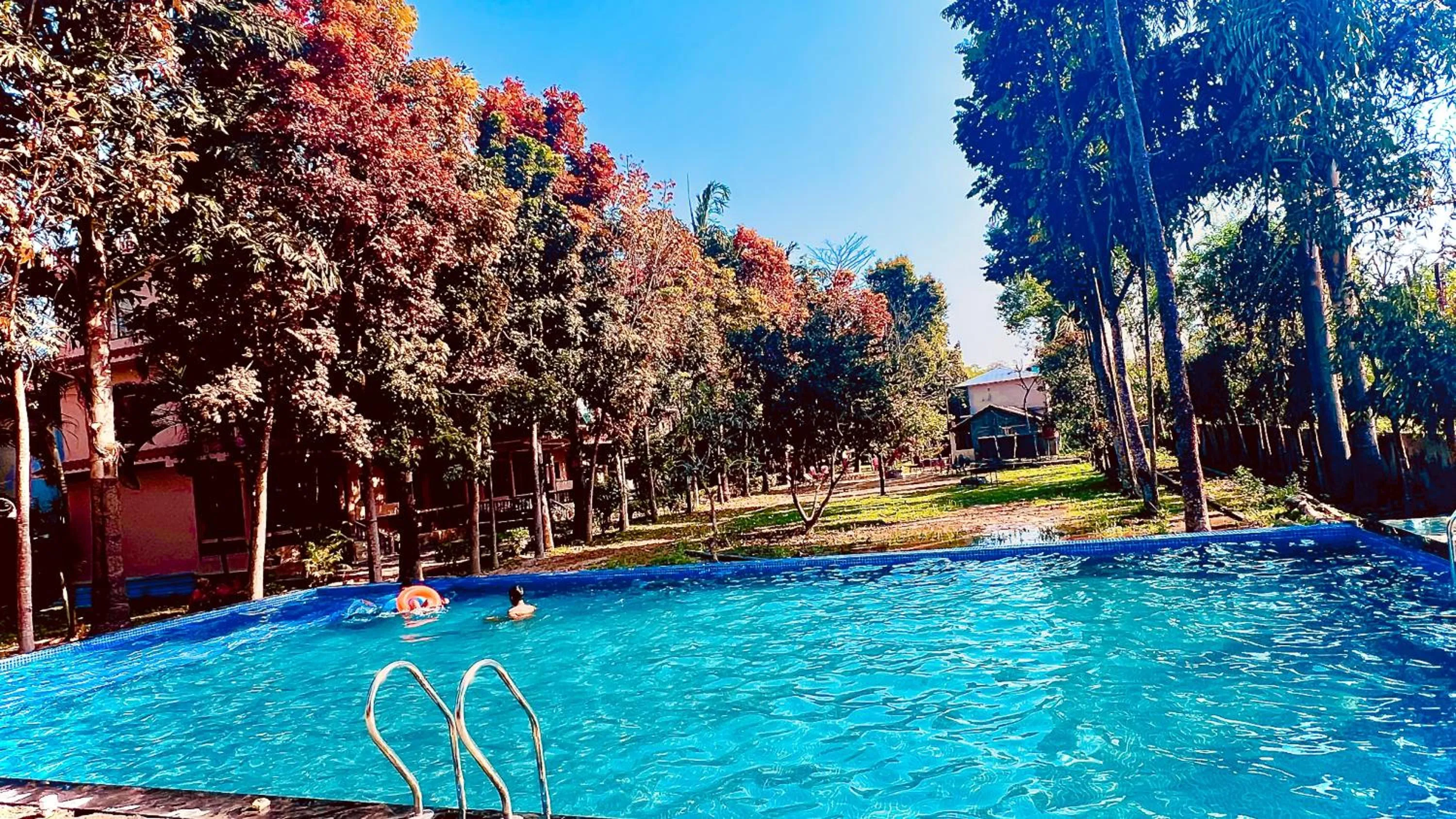 Chitwan Forest Resort with swimming pool , Chitwan National Park