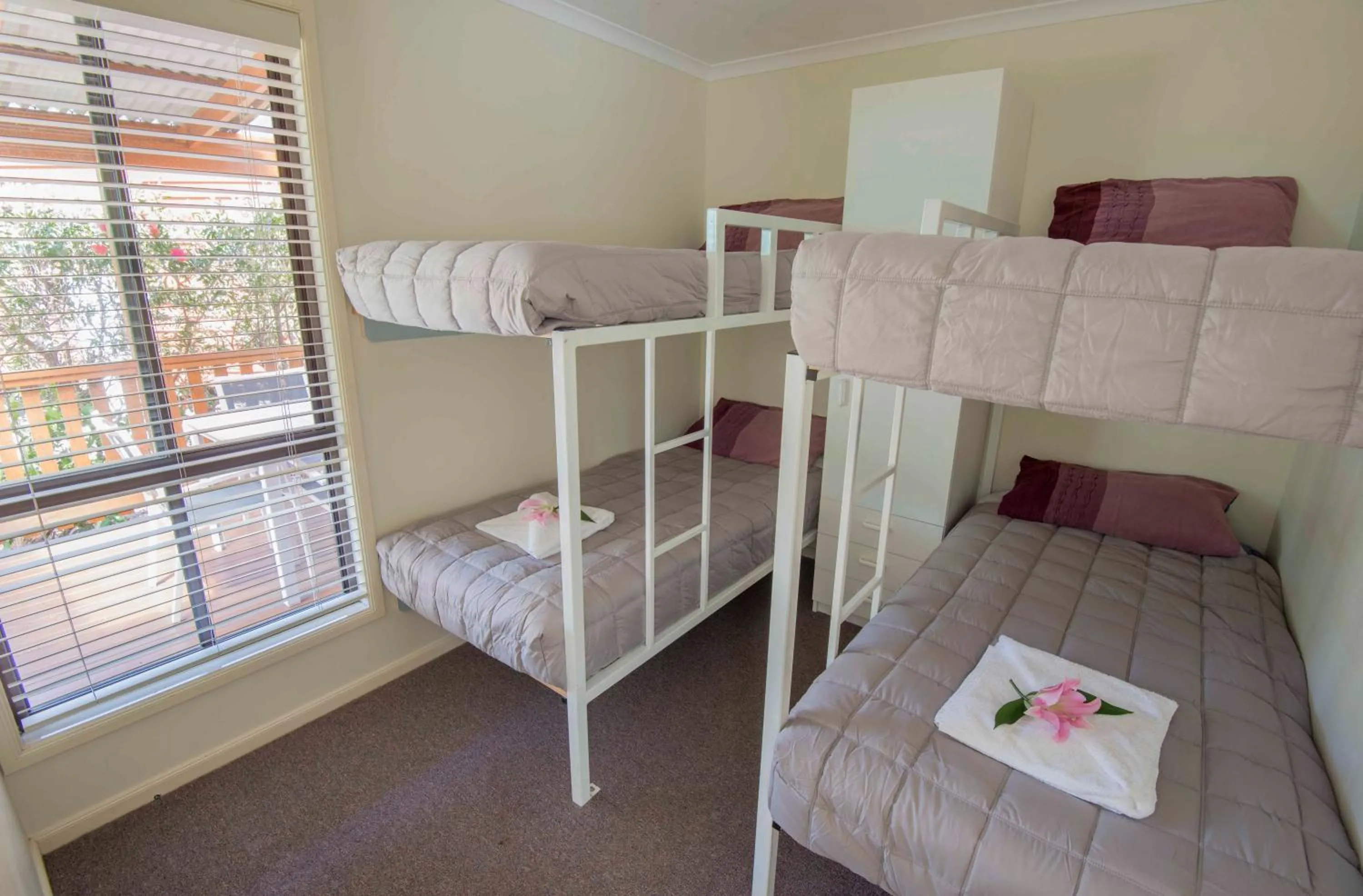 bunk bed, Bed in The Palms At Avoca