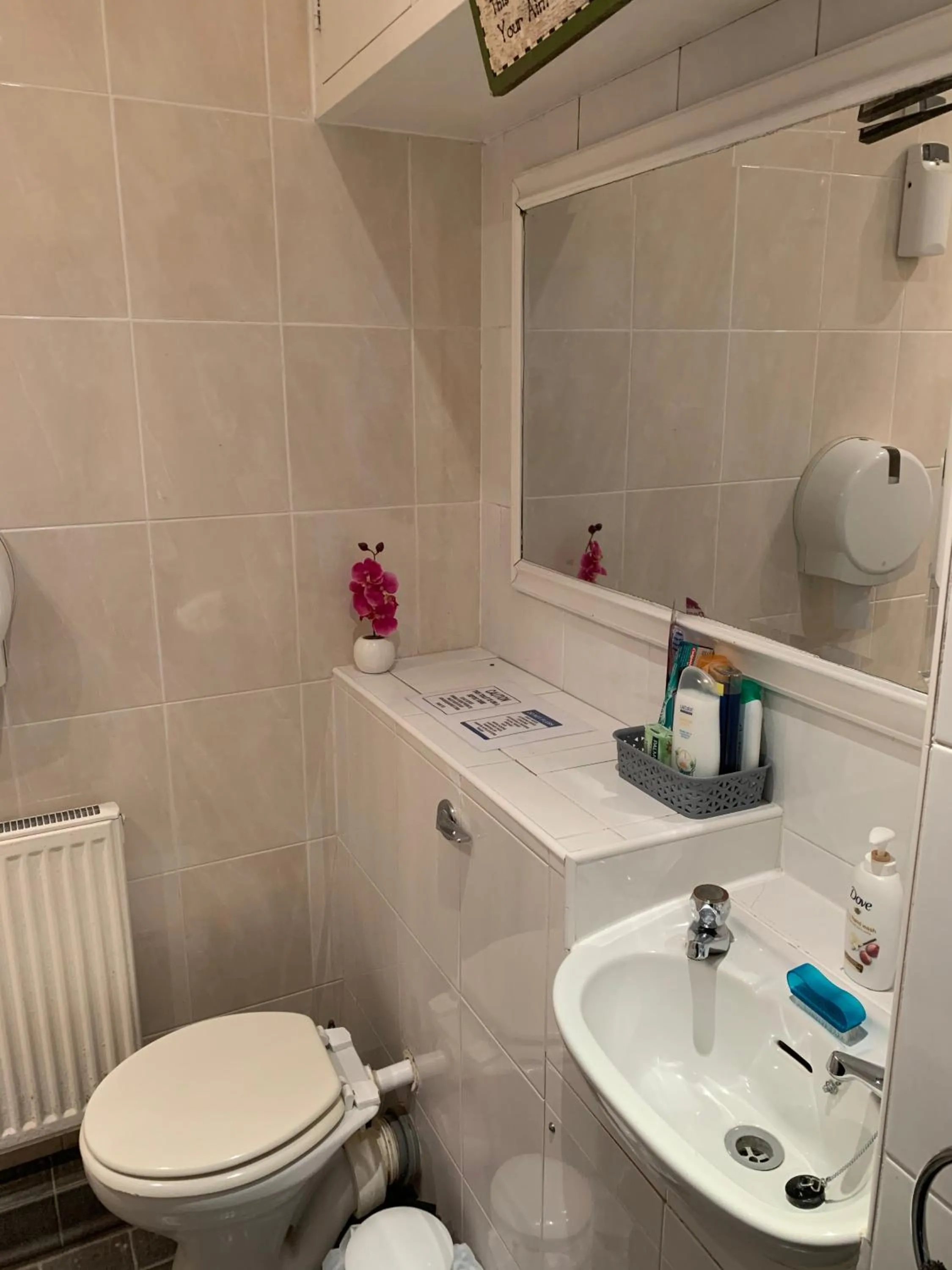 Toilet in Bedrock Lodge