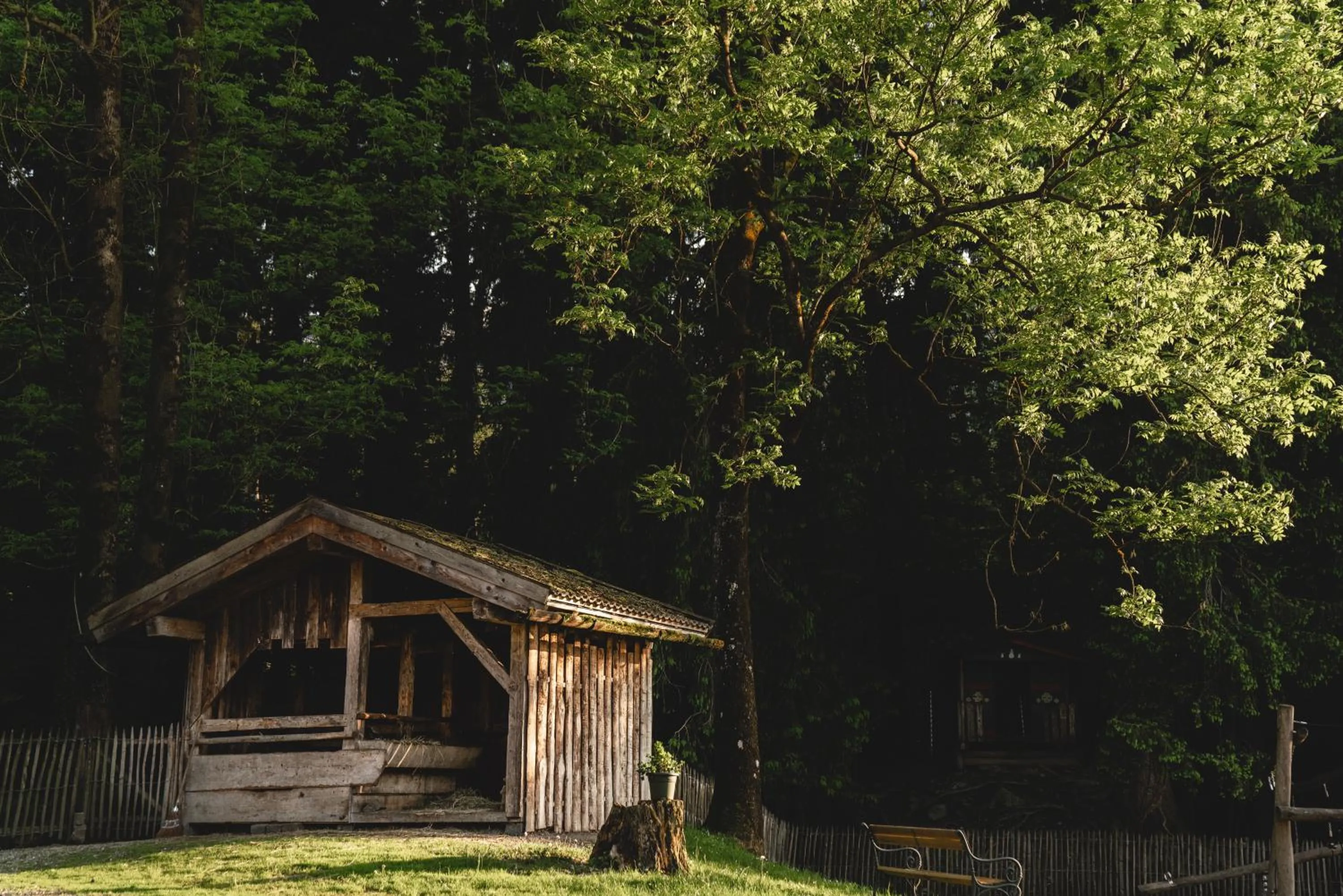 Garden in Langwies Genussherberge