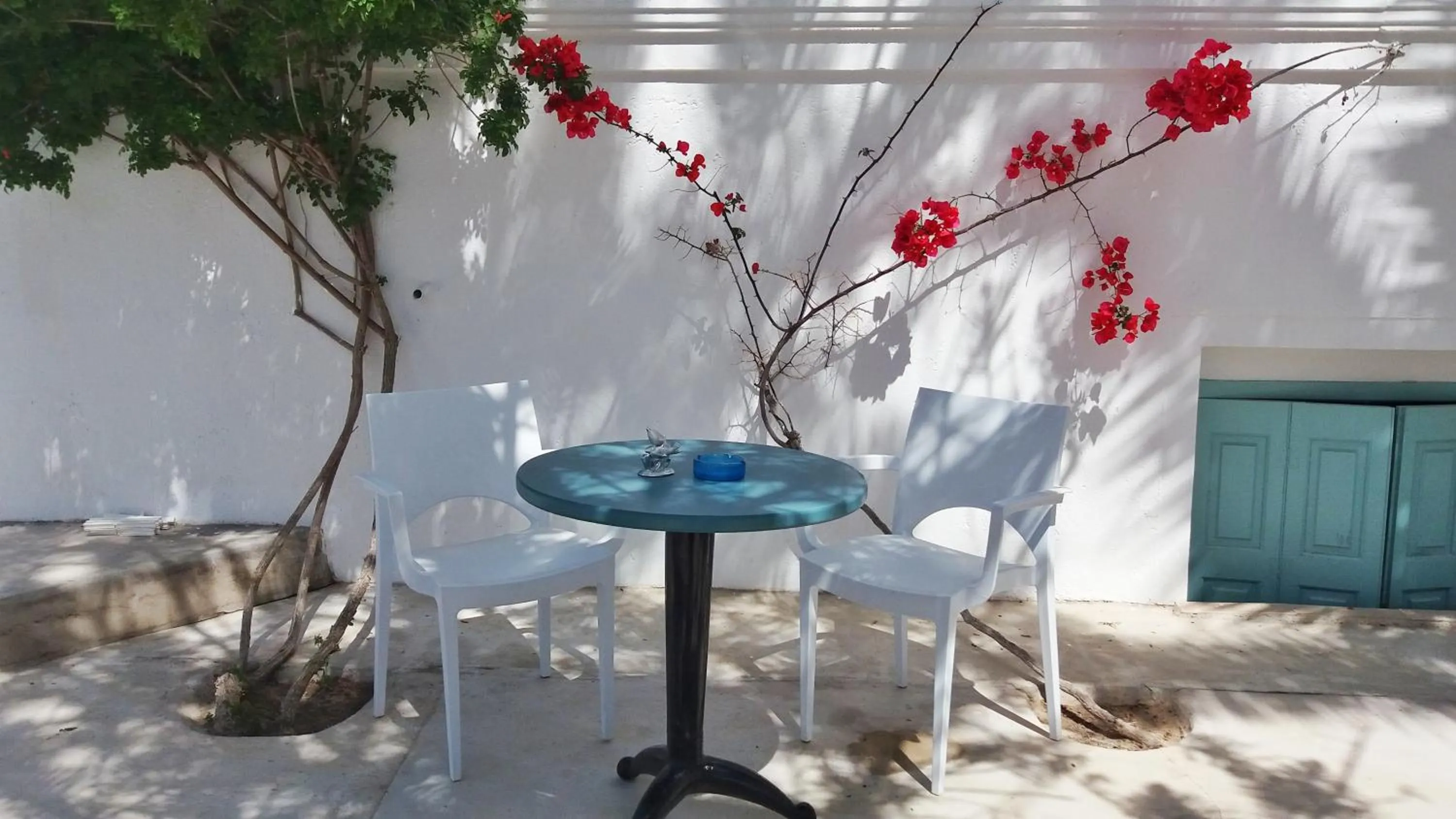 Garden in Kymata Hotel