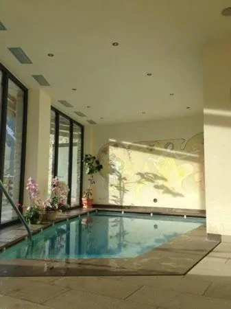 Swimming pool in Alpen Family Hotel Someda