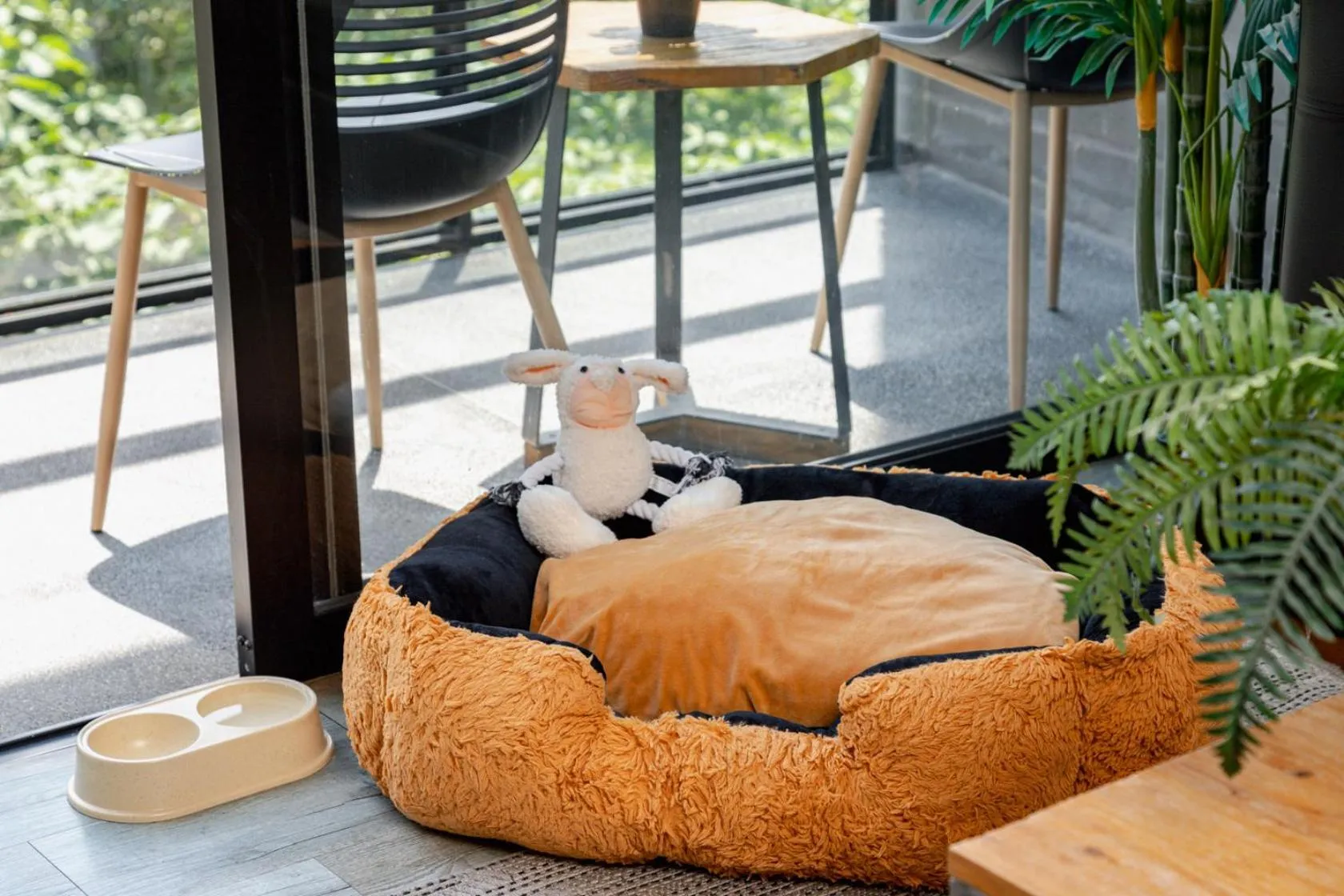 Pets in Loma Verde Aparthotel