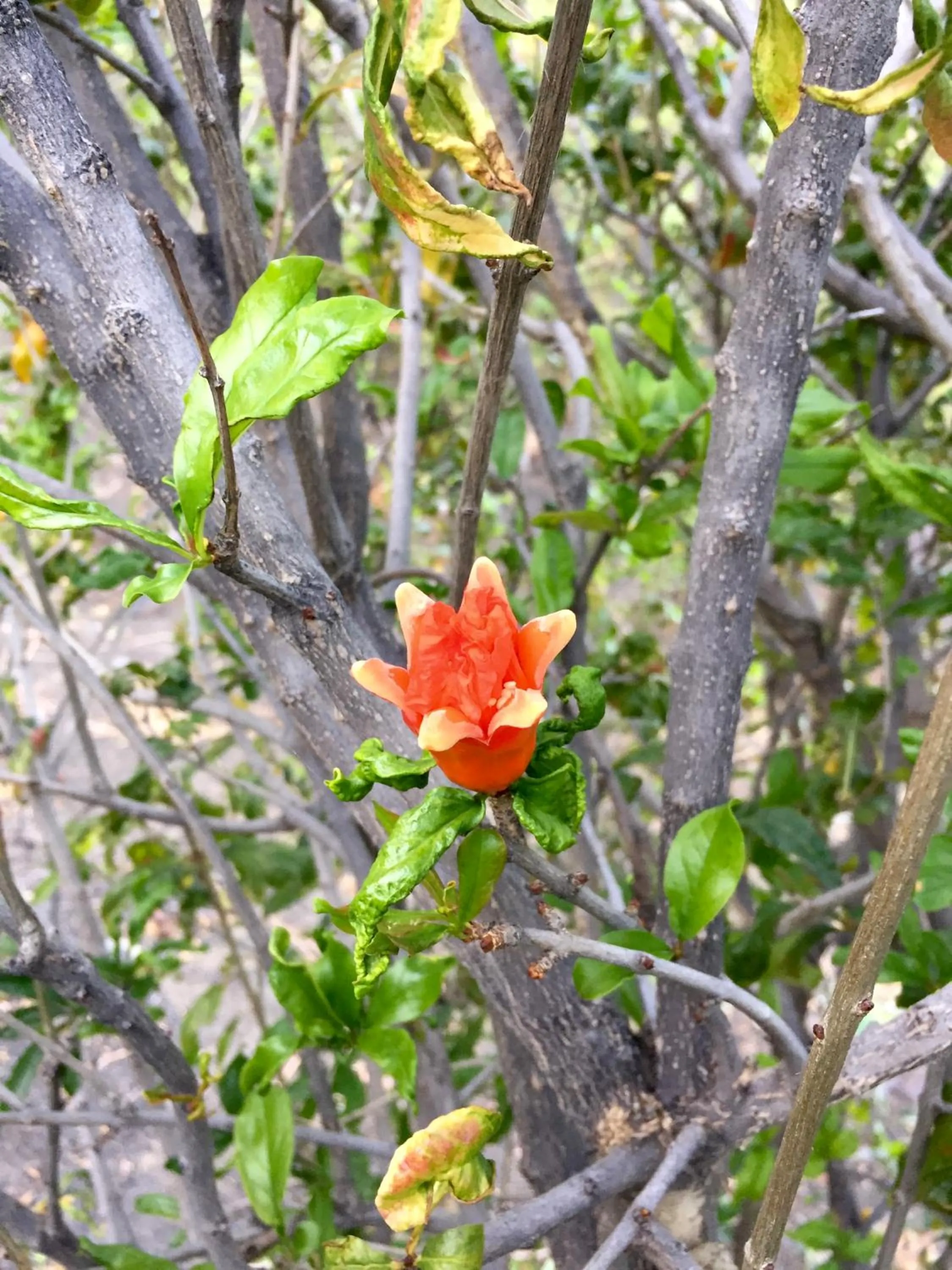 Property building in Casa Marisa 2.0