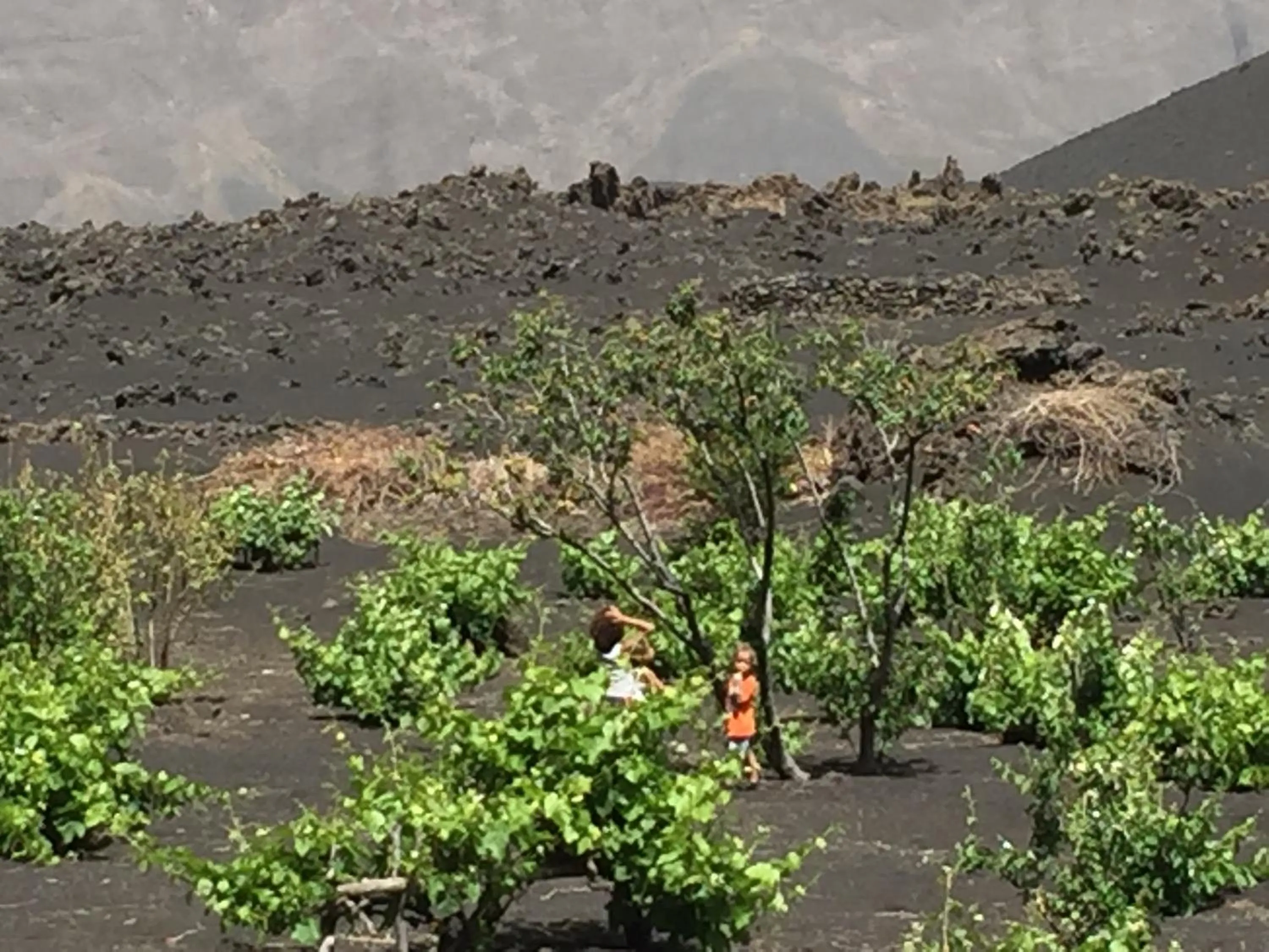 Nearby landmark in Casa Marisa 2.0