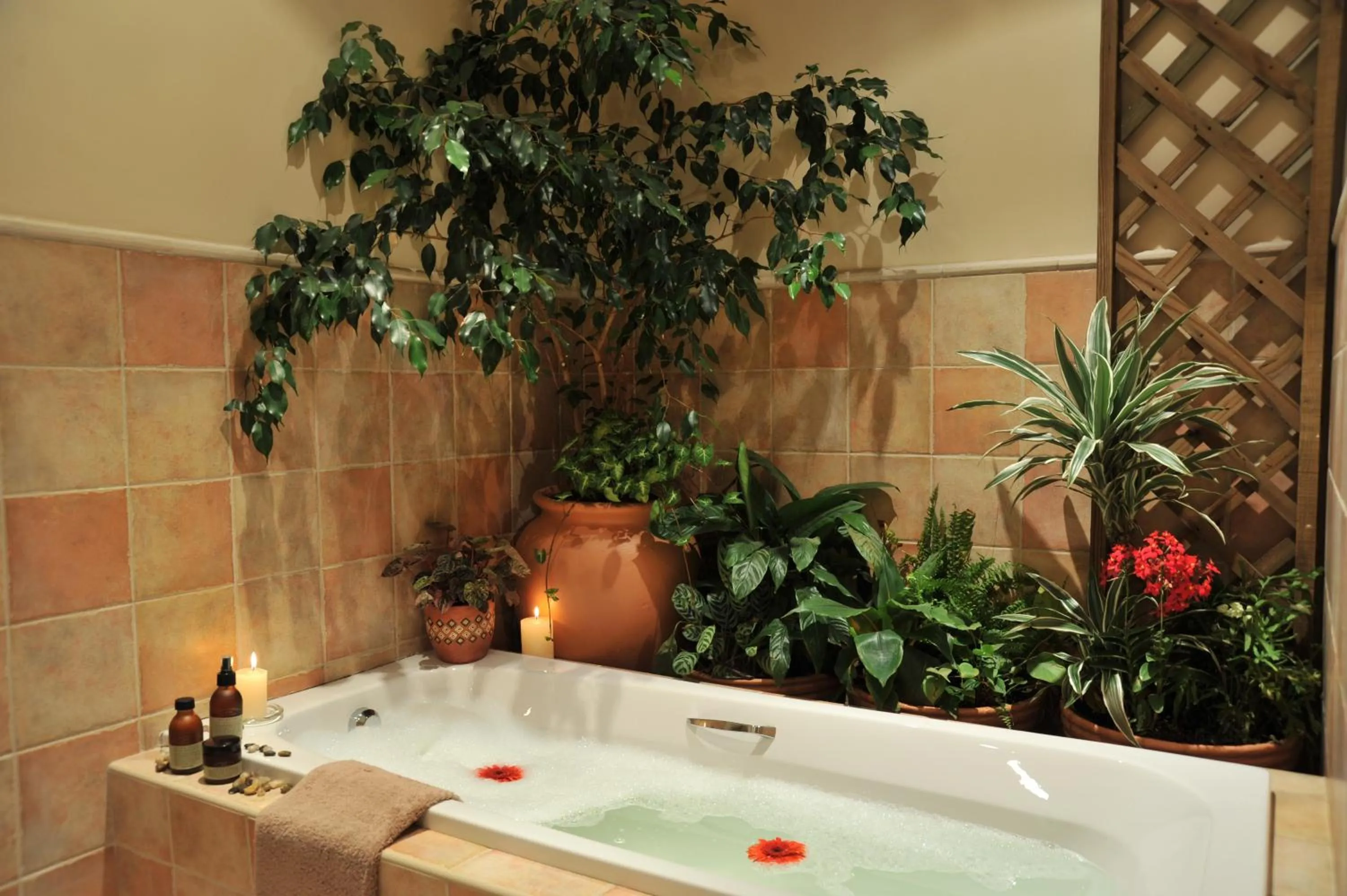 Bathroom in Claires of Sandton Luxury Guest House