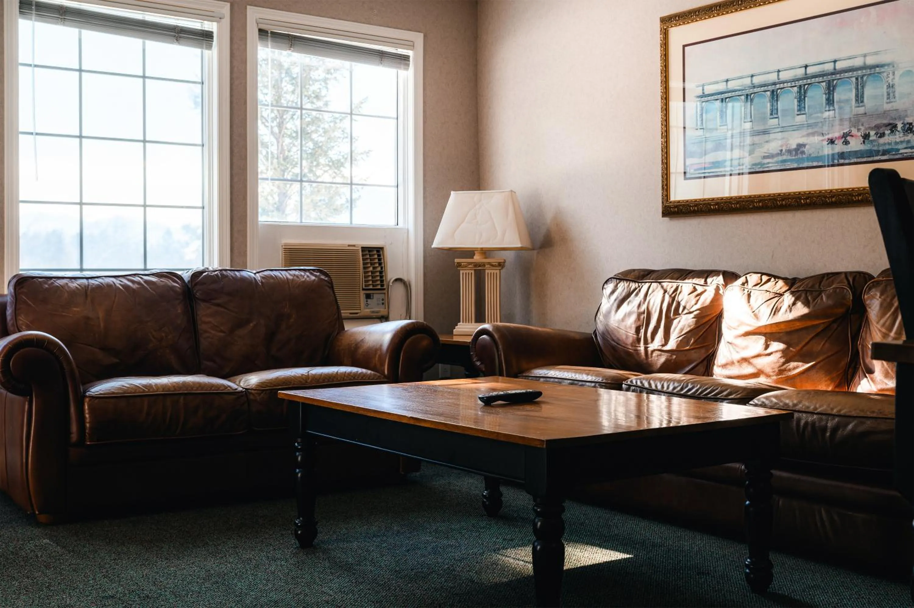 Mountain View Resort and Suites at Fairmont Hot Springs