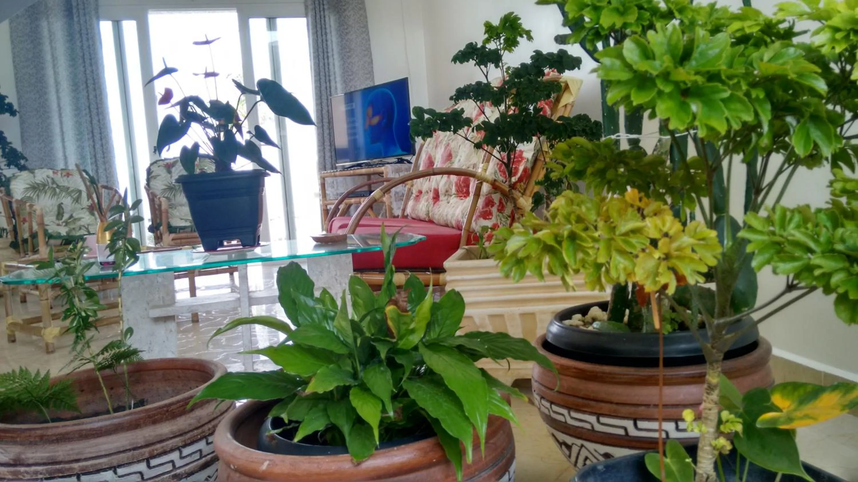 CASA - FRENTE PARA O MAR