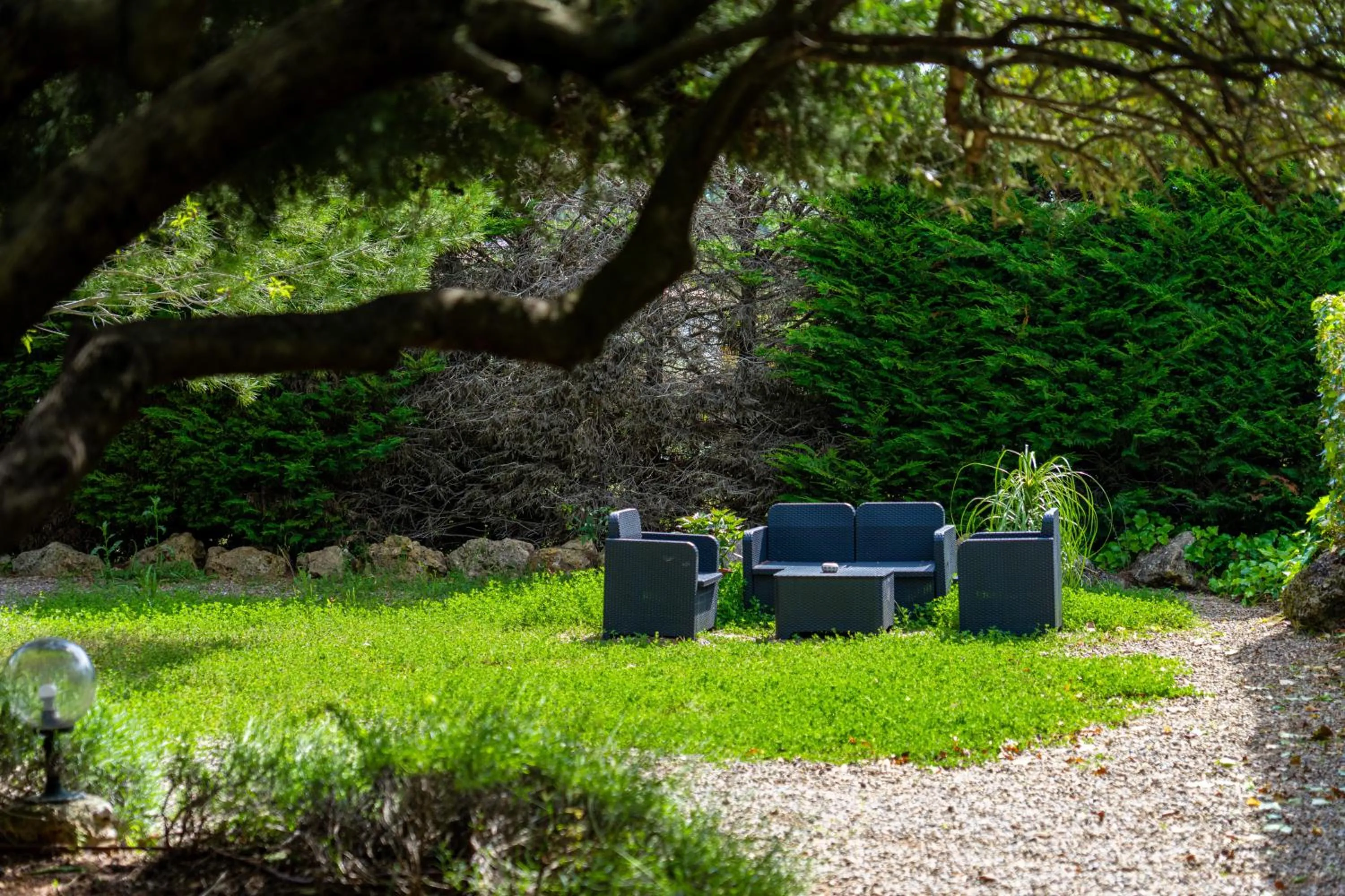 Garden in Hotel Les Oliviers