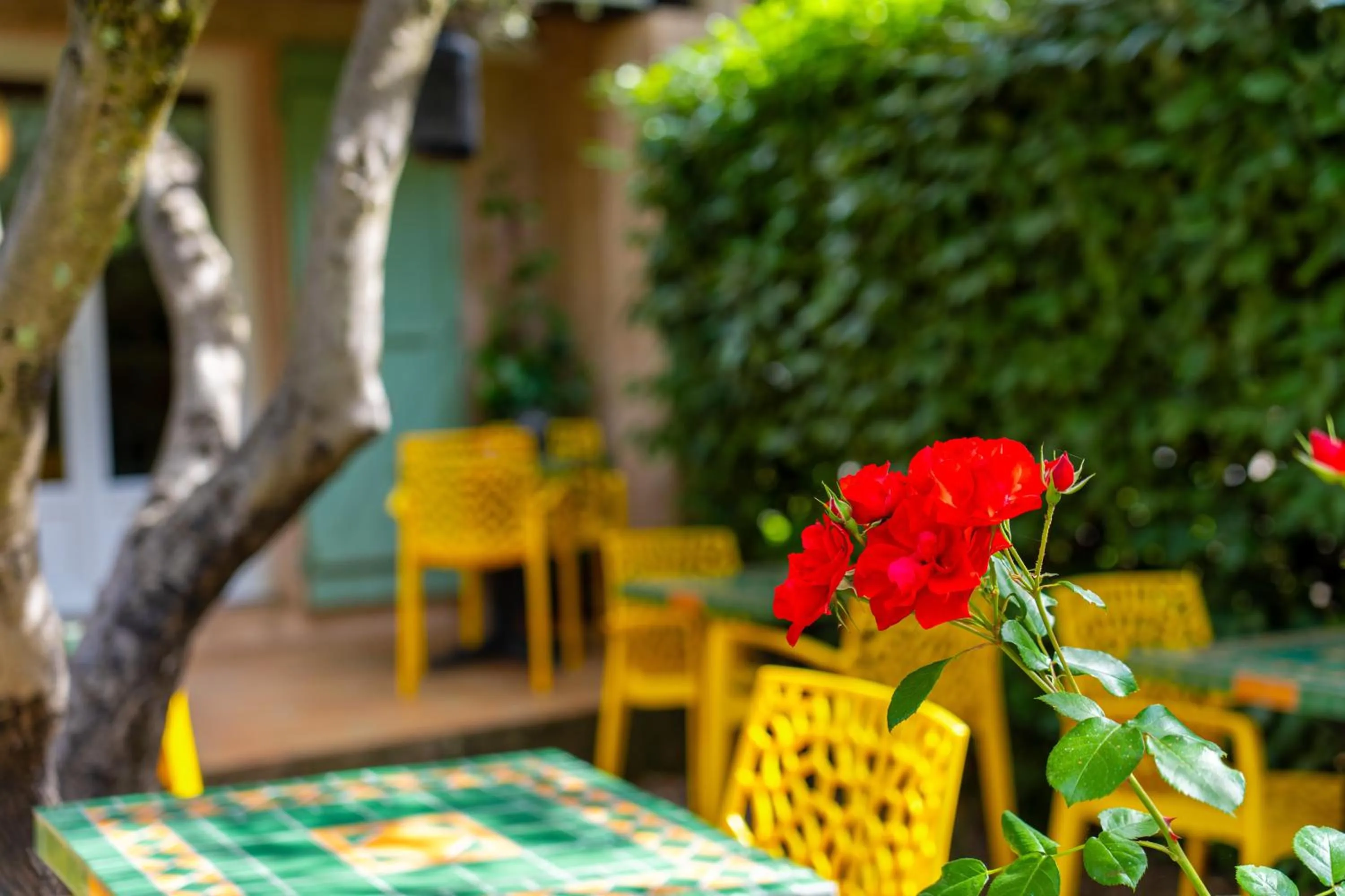 Patio in Hotel Les Oliviers