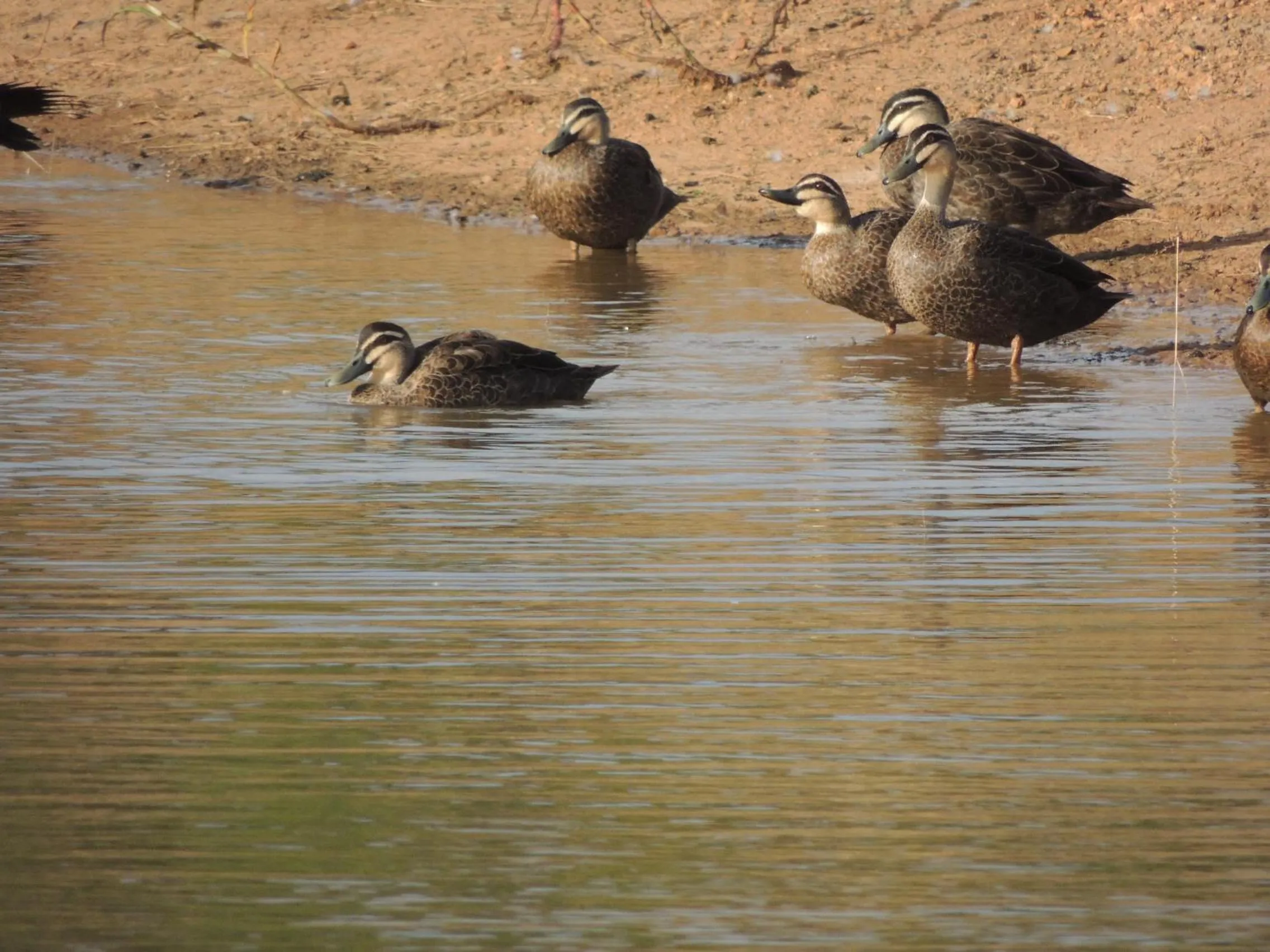 Property building in The Carriages Boutique Hotel and Vineyard
