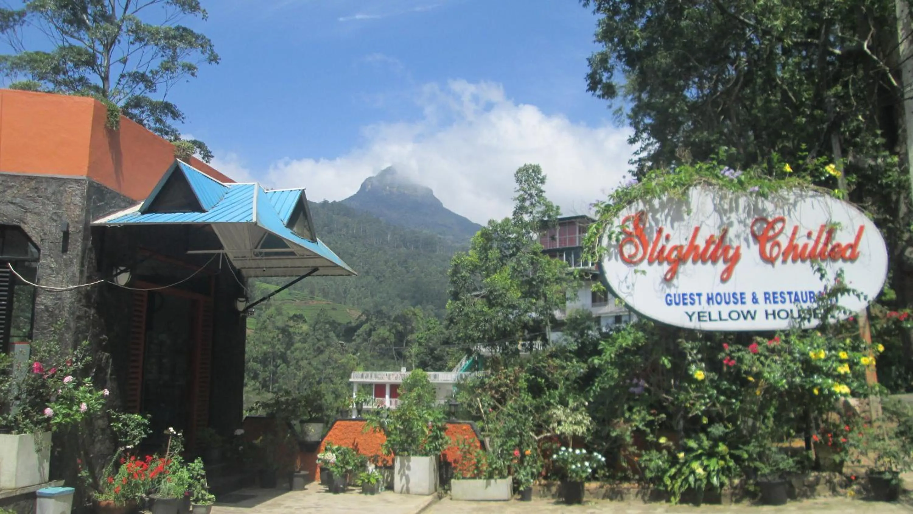 Mountain view in Slightly Chilled