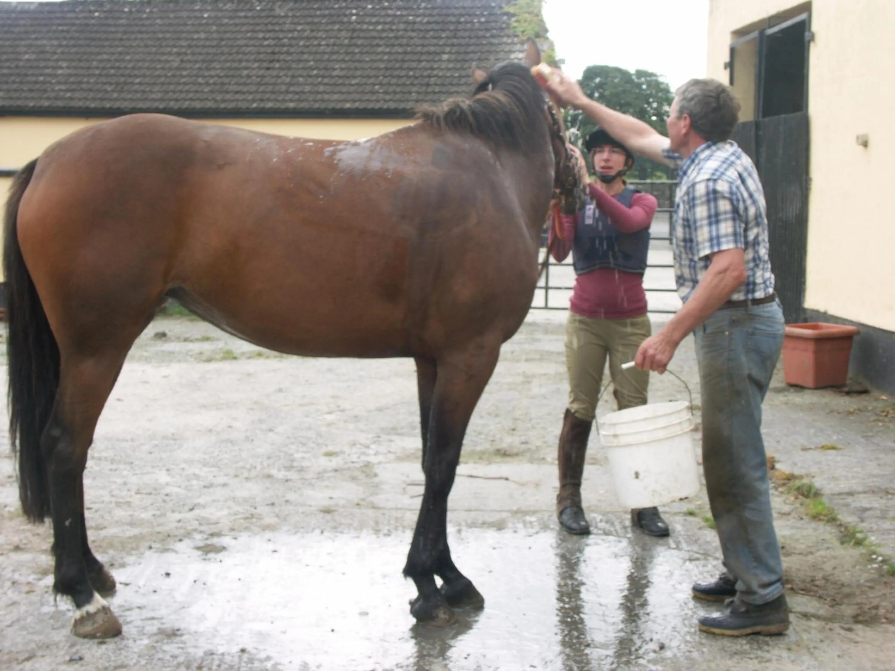 Horse-riding in Cahergal Farmhouse B&B