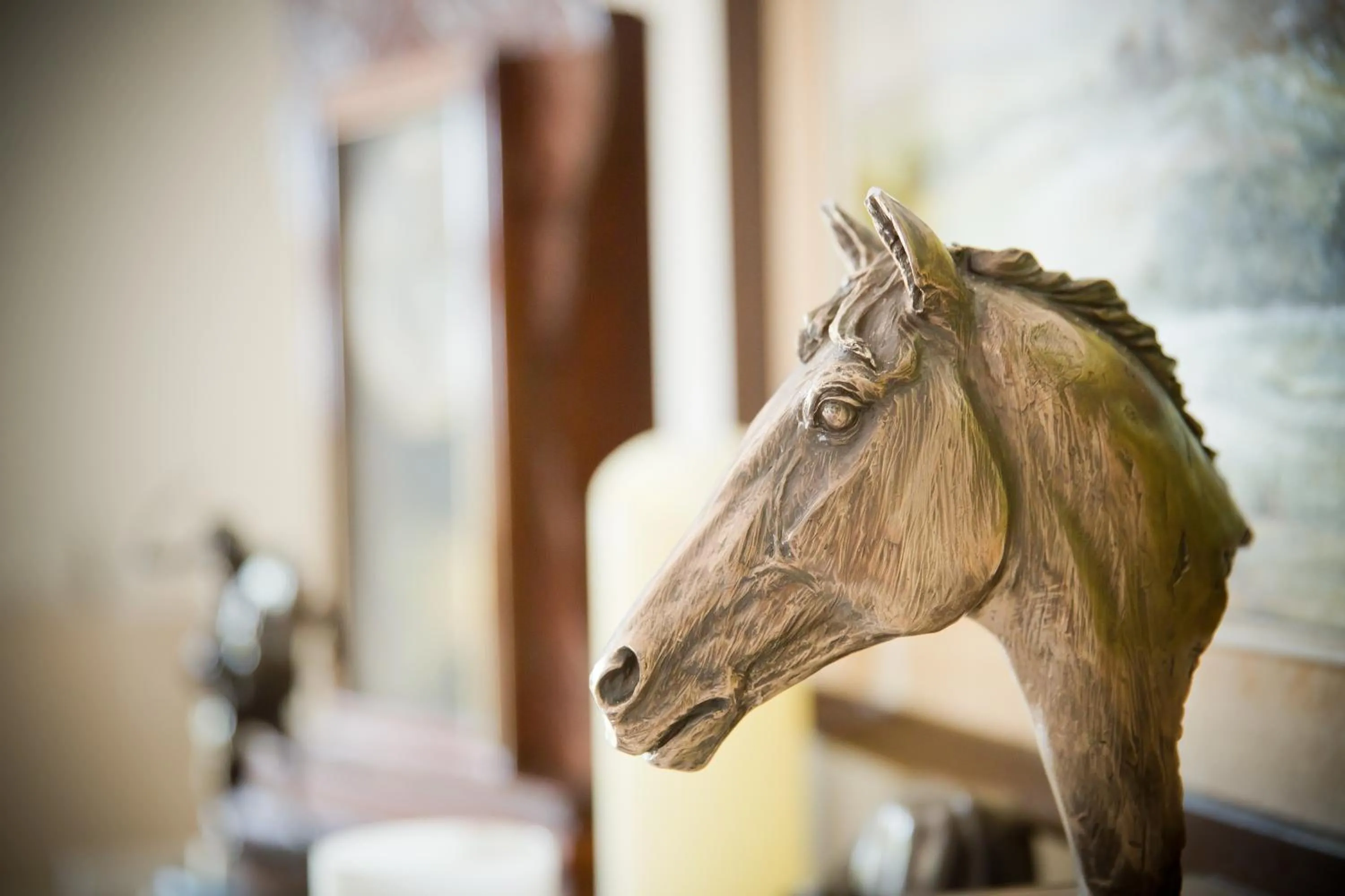 Animals in Cahergal Farmhouse B&B
