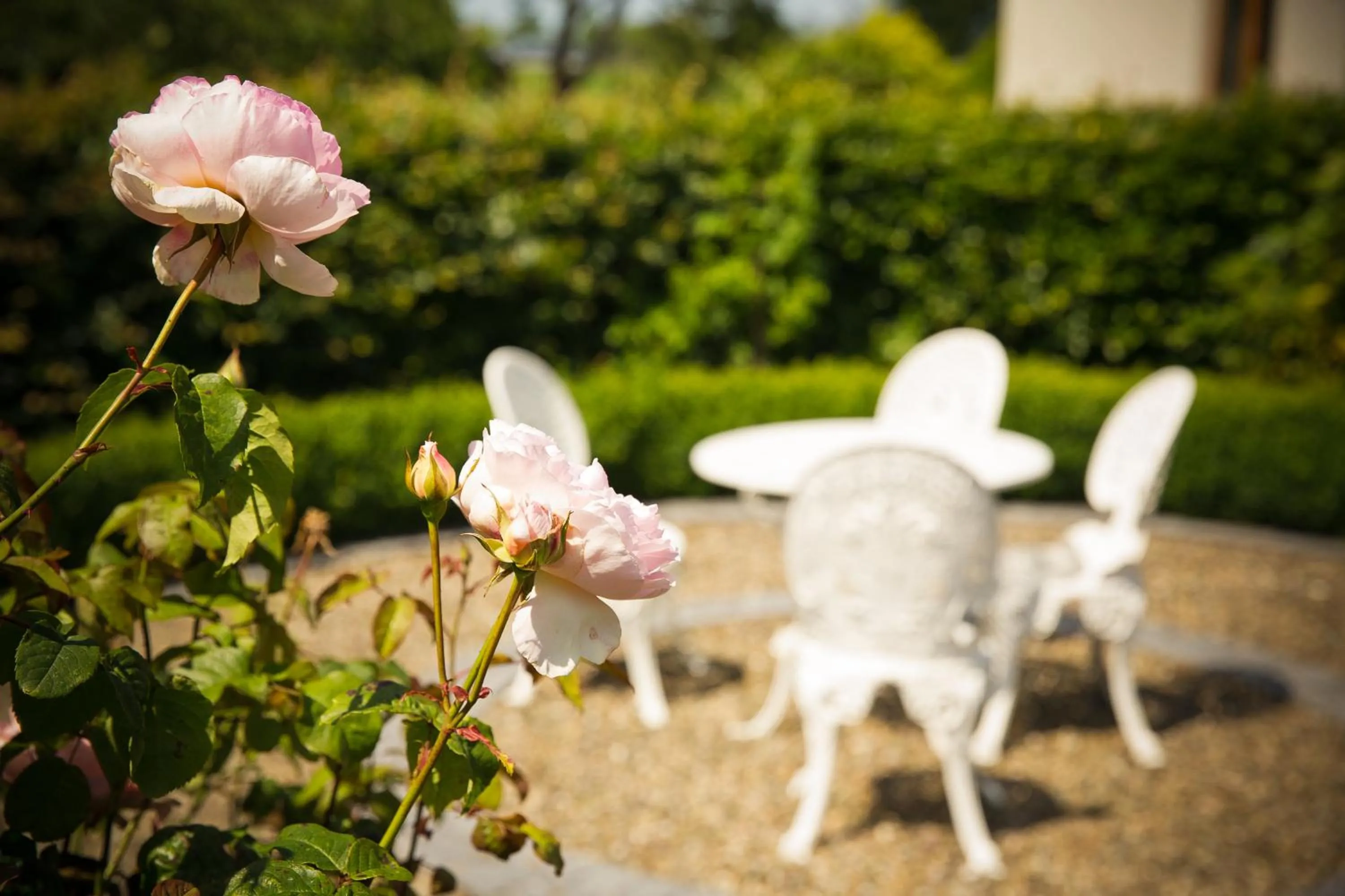 Patio in Cahergal Farmhouse B&B