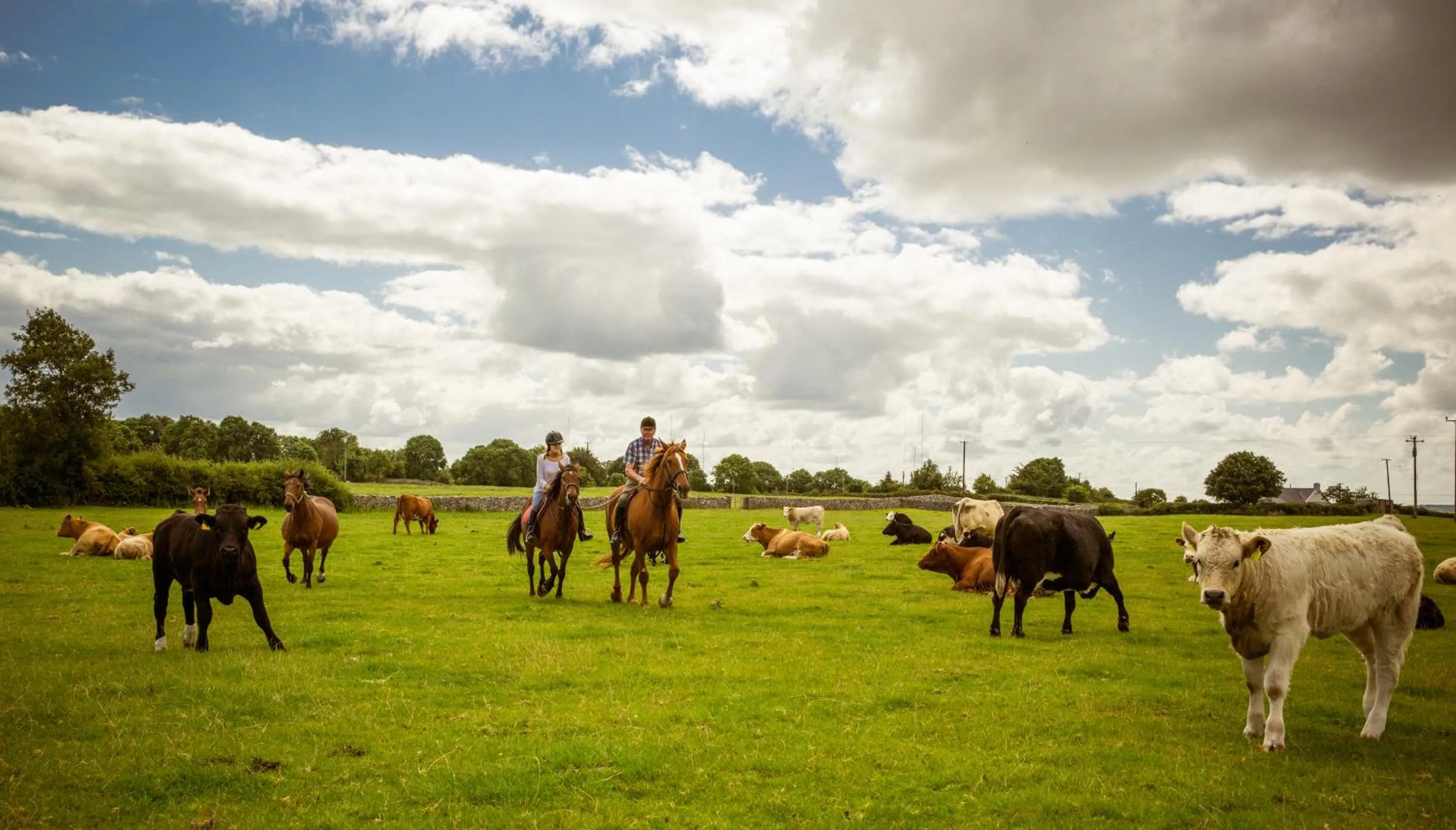 Activities in Cahergal Farmhouse B&B