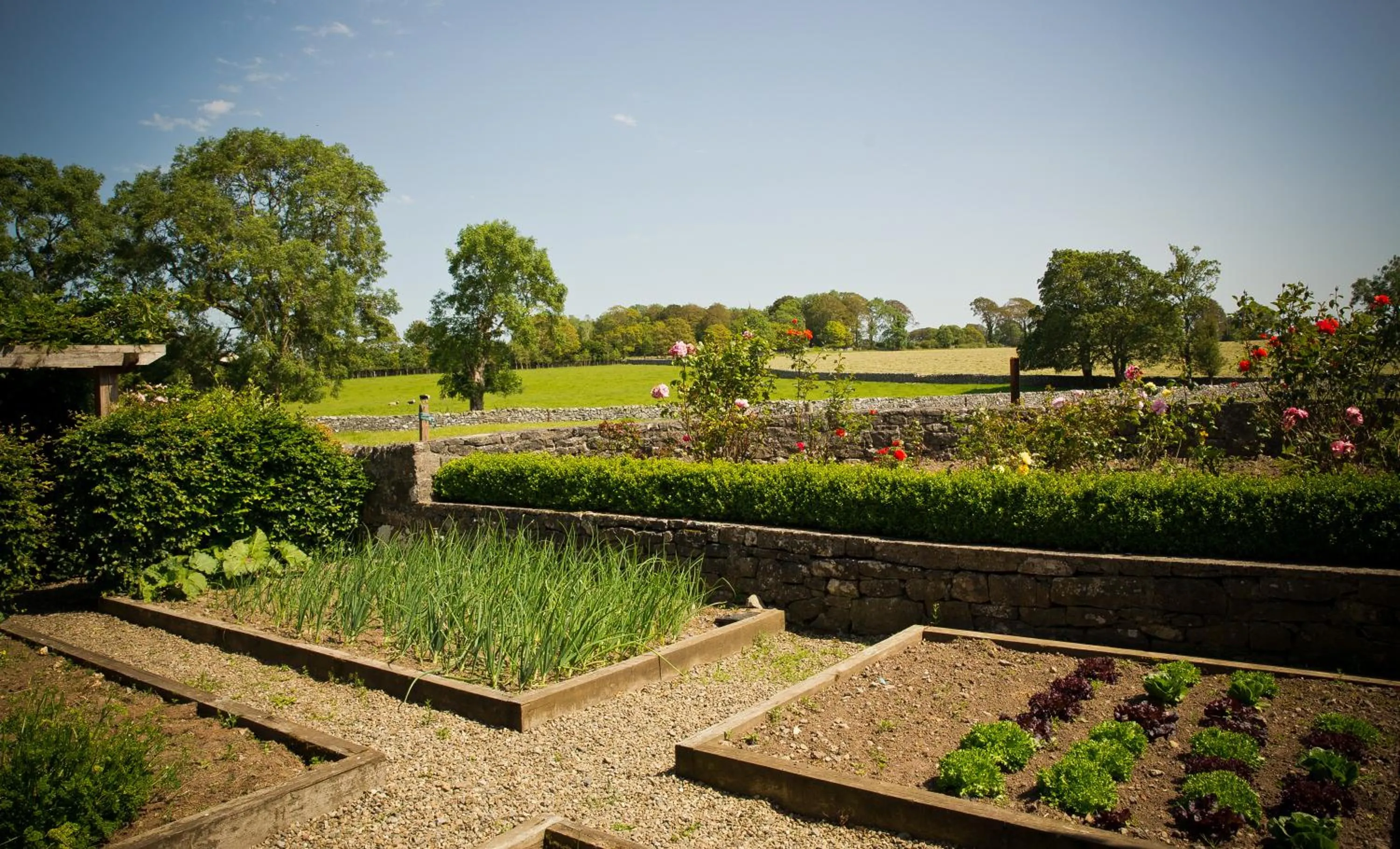 Garden in Cahergal Farmhouse B&B