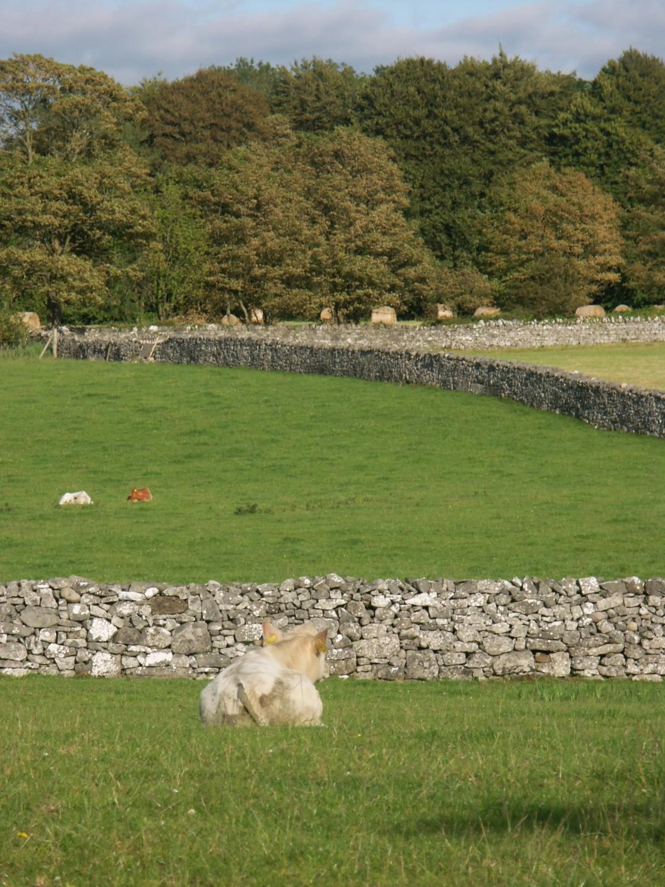 View (from property/room) in Cahergal Farmhouse B&B