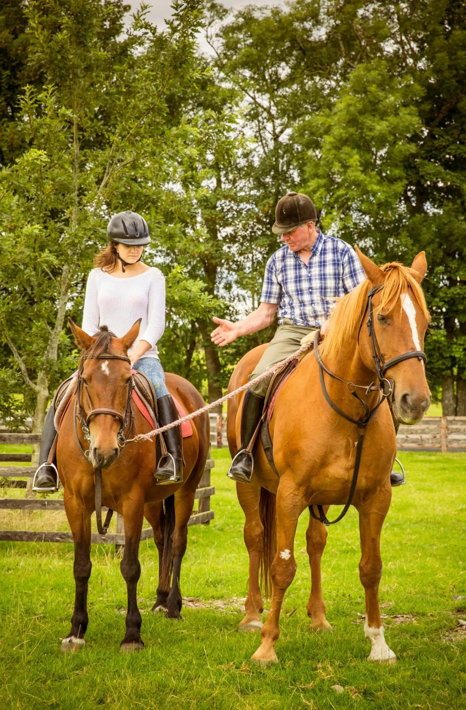 Pets in Cahergal Farmhouse B&B