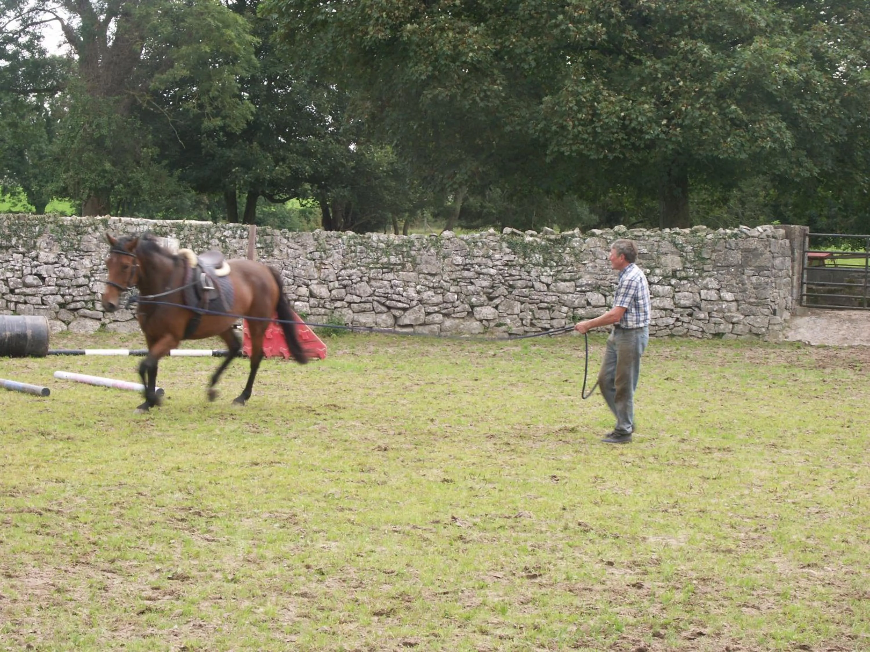 Horse-riding in Cahergal Farmhouse B&B
