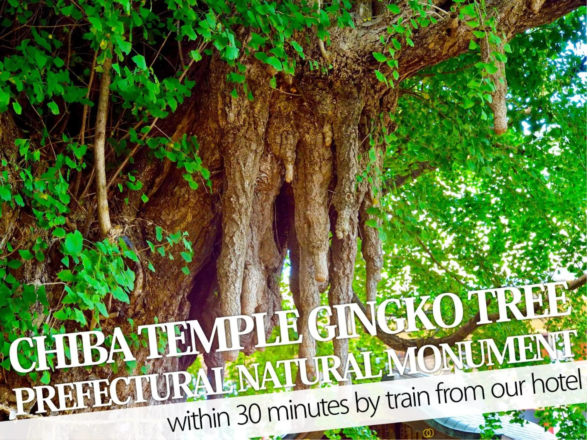 Nearby landmark in Hotel Century