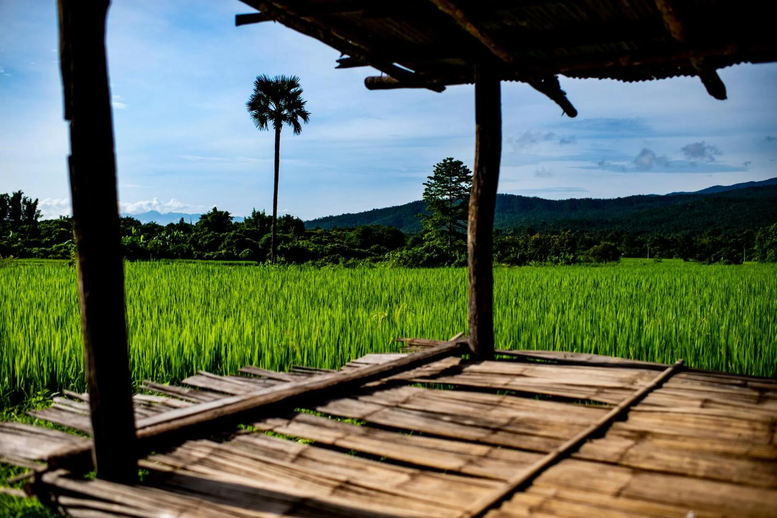 Neighbourhood in Suan Sook Homestay