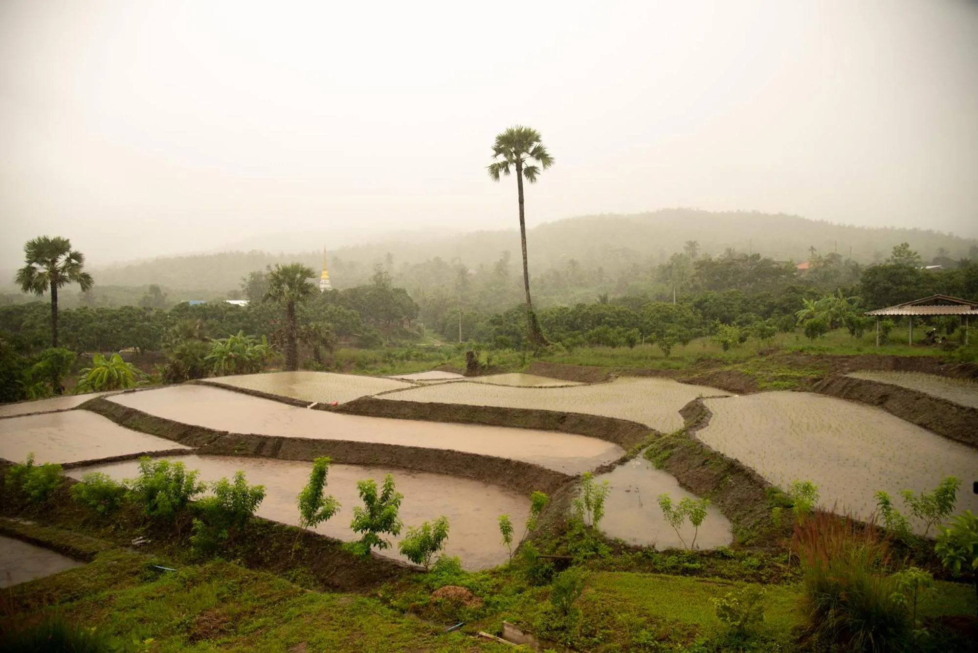 Natural landscape in Suan Sook Homestay