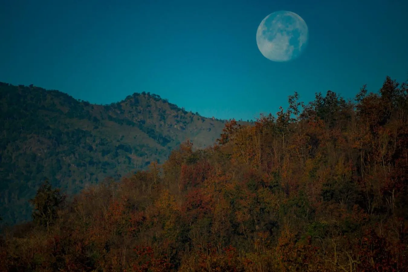 Night in Suan Sook Homestay