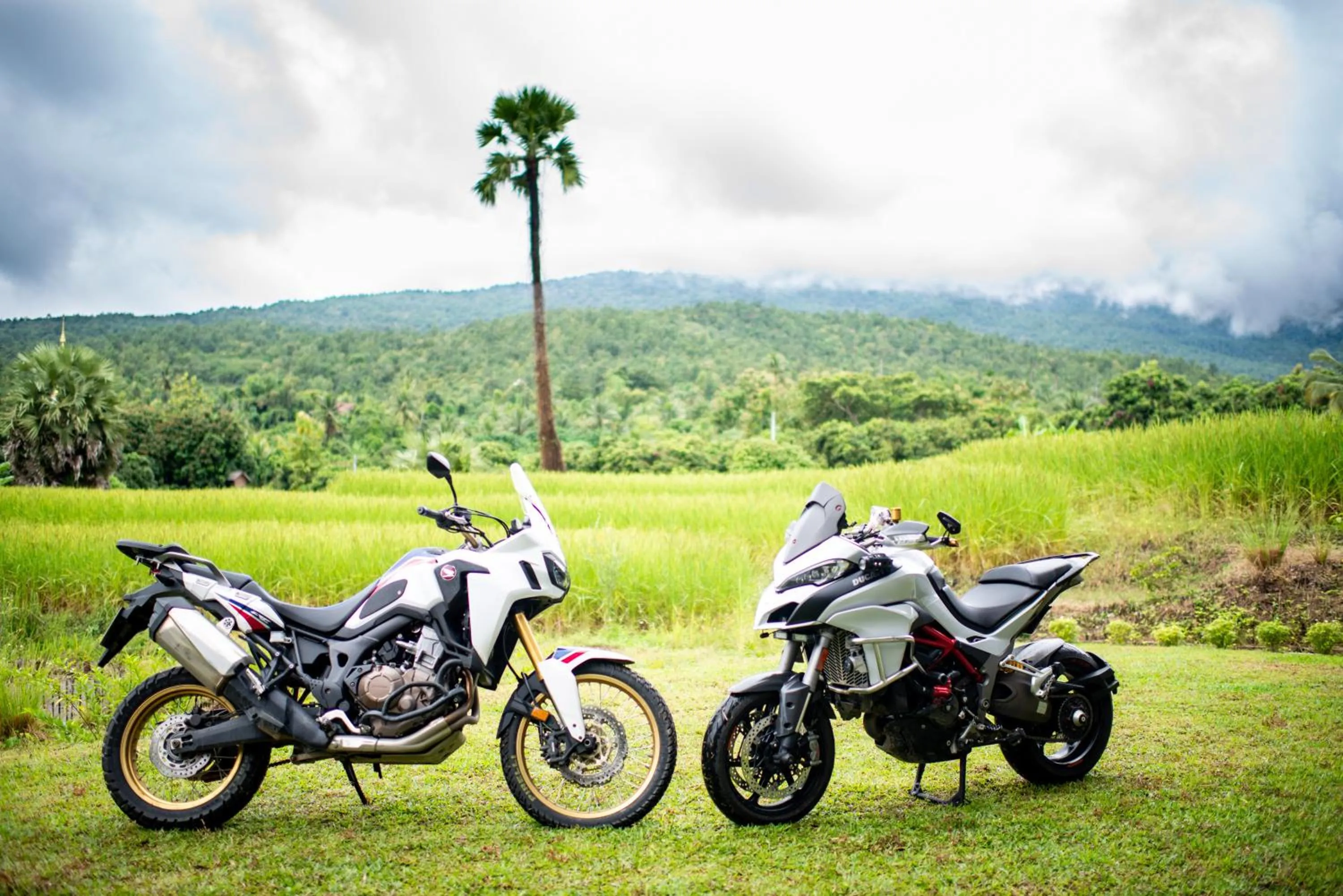 Garden in Suan Sook Homestay