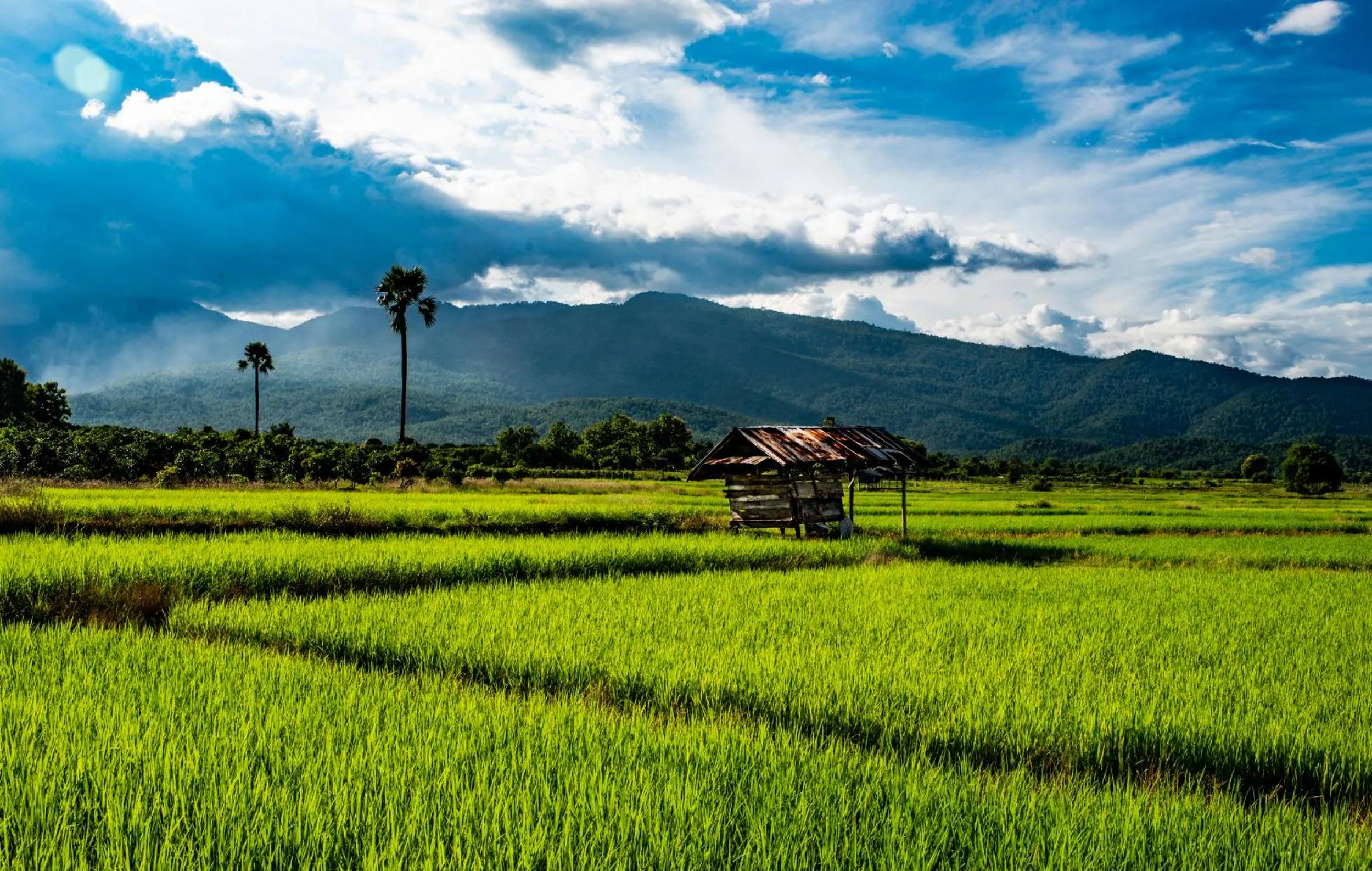 Neighbourhood in Suan Sook Homestay