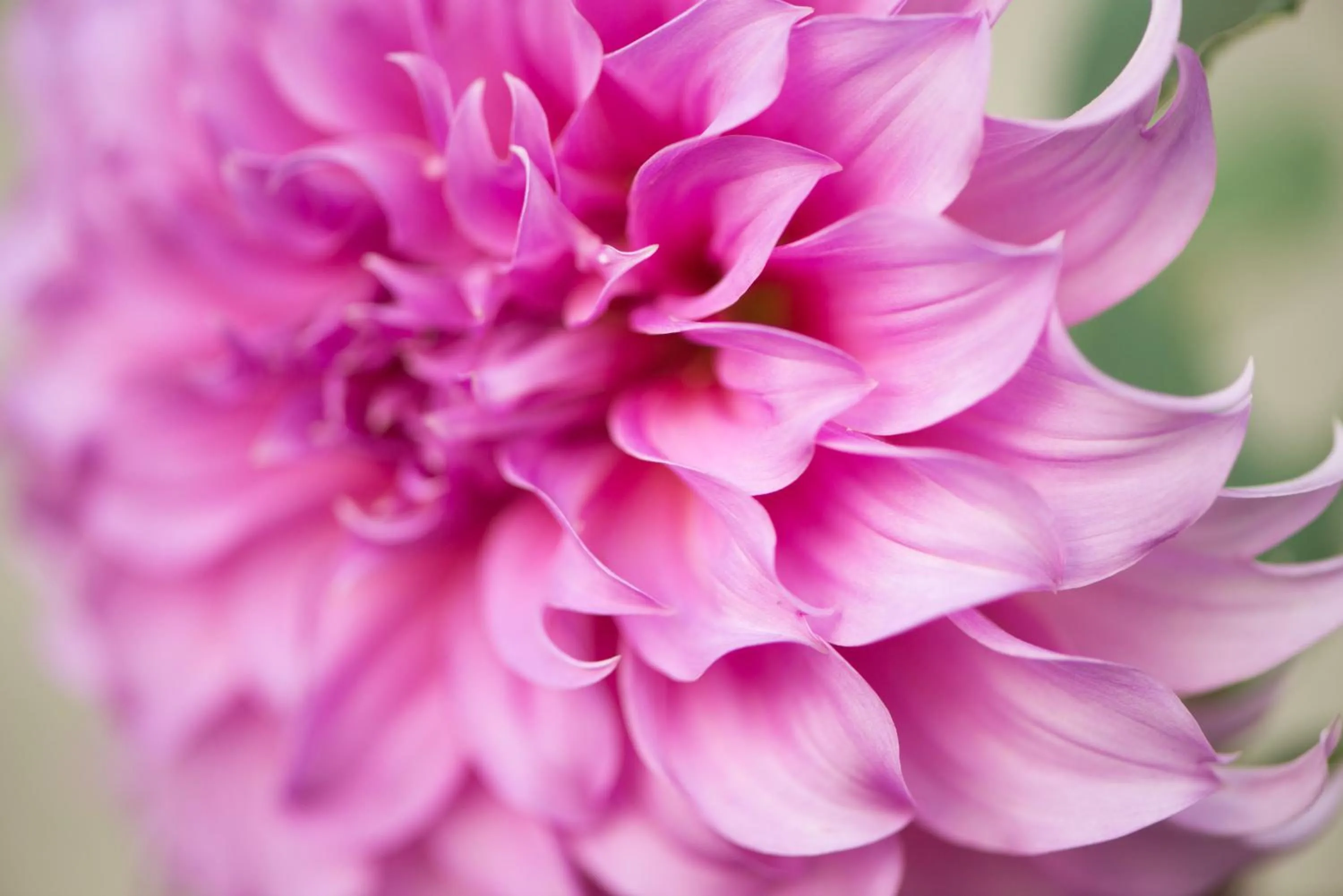 Decorative detail in Suan Sook Homestay