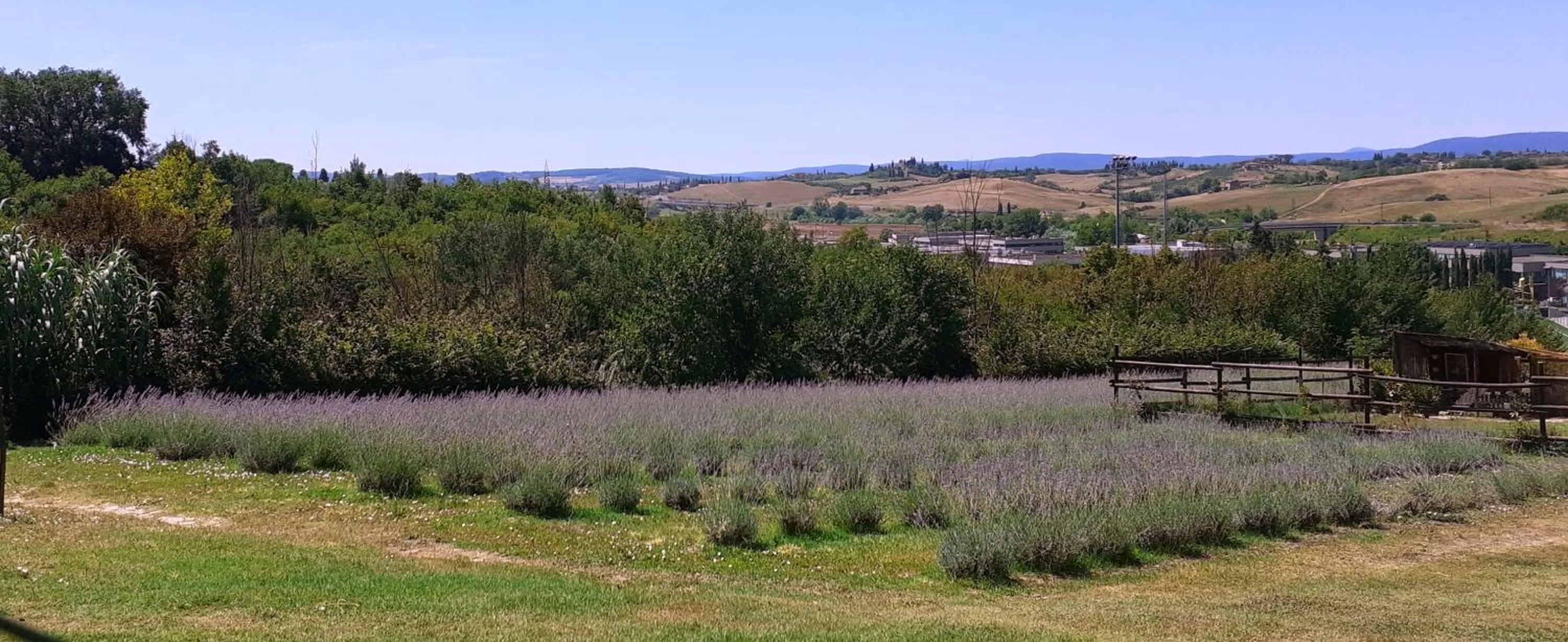 Garden in Il Lavandeto - farmhouse in the city