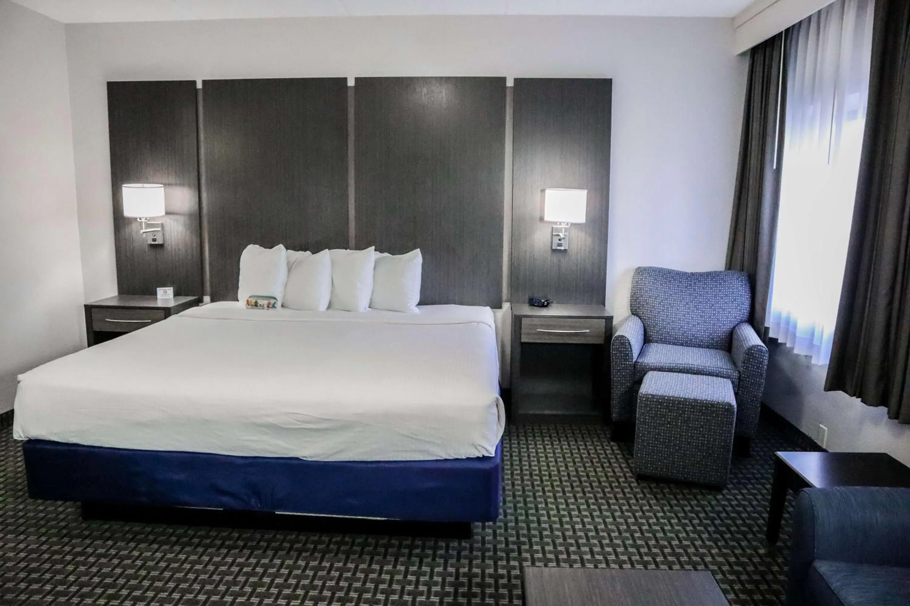 Photo of the whole room, Bed in Best Western Ocala Park Centre