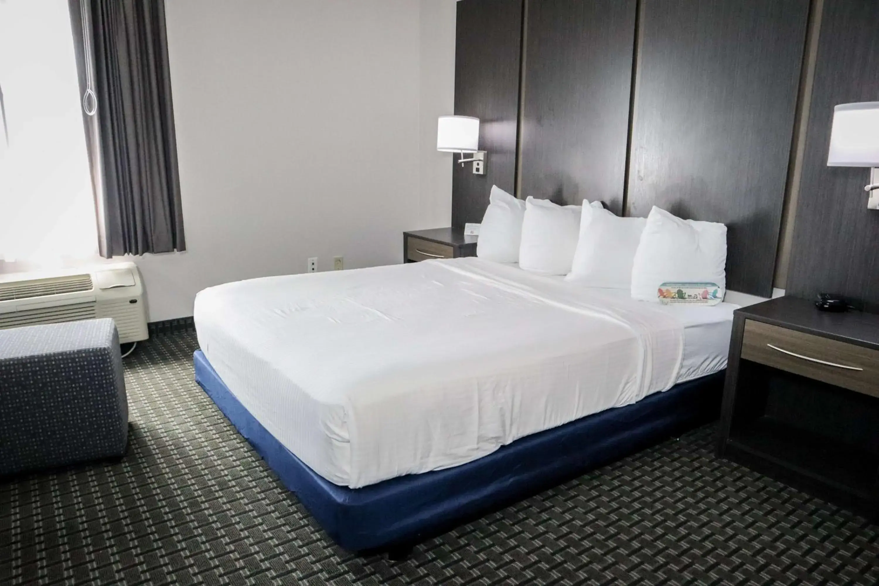 Queen Room with Mobility Accessible Roll-In Shower in Best Western Ocala Park Centre Queen Room with Mobility Accessible Roll-In Shower in Best Western Ocala Park Centre