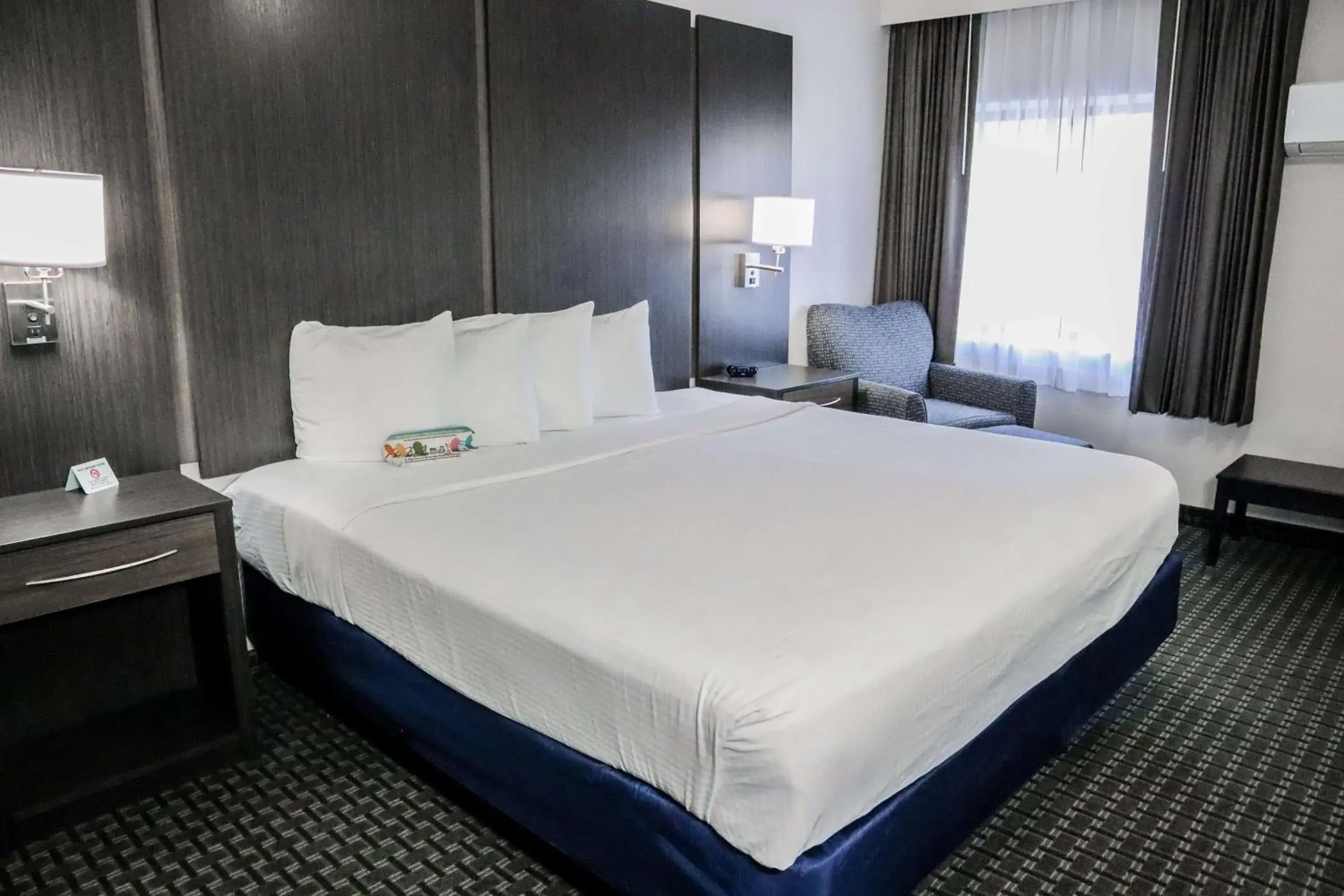 Photo of the whole room, Bed in Best Western Ocala Park Centre Photo of the whole room, Bed in Best Western Ocala Park Centre