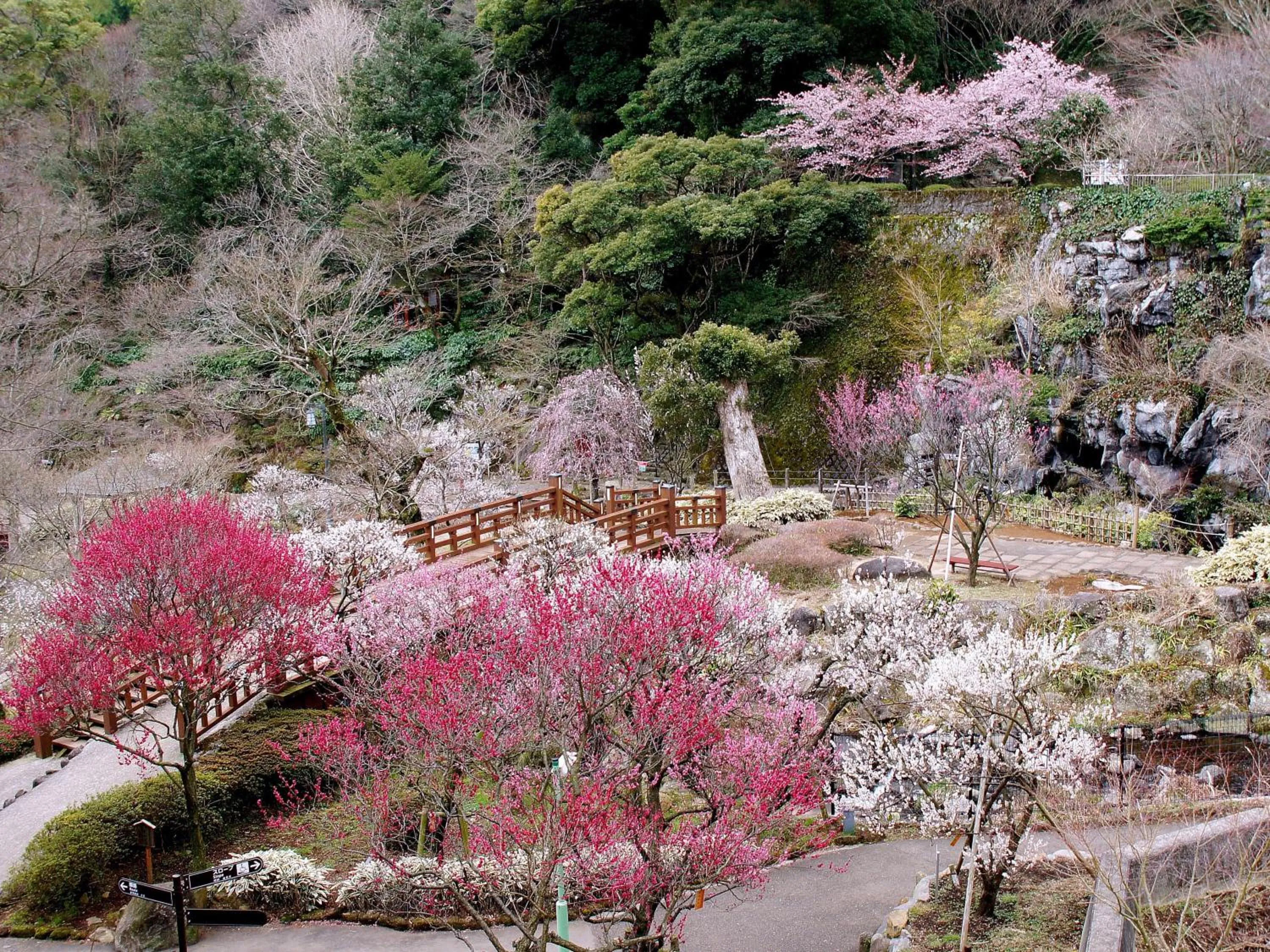 Nearby landmark in Mujuan