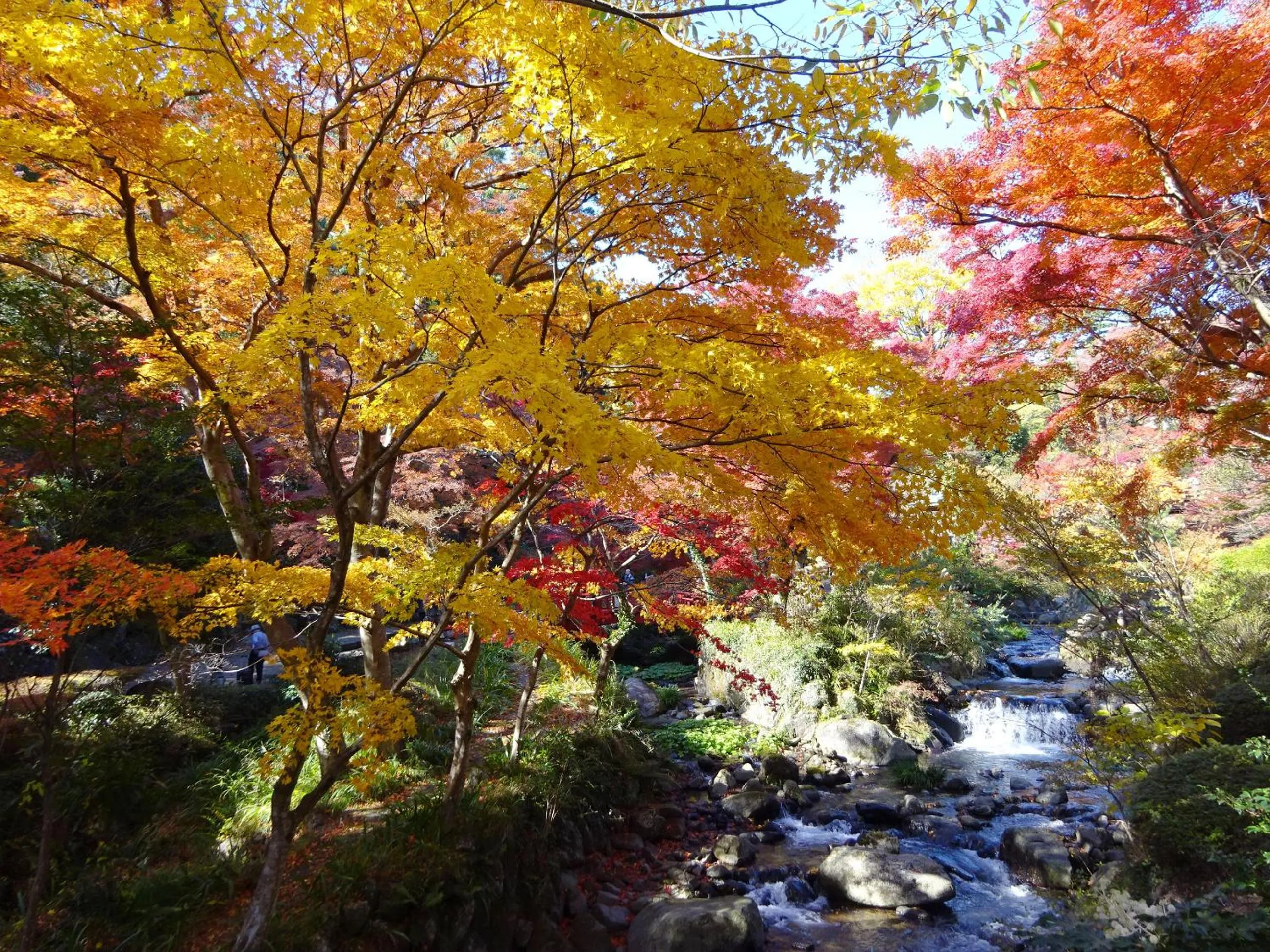 Nearby landmark in Mujuan