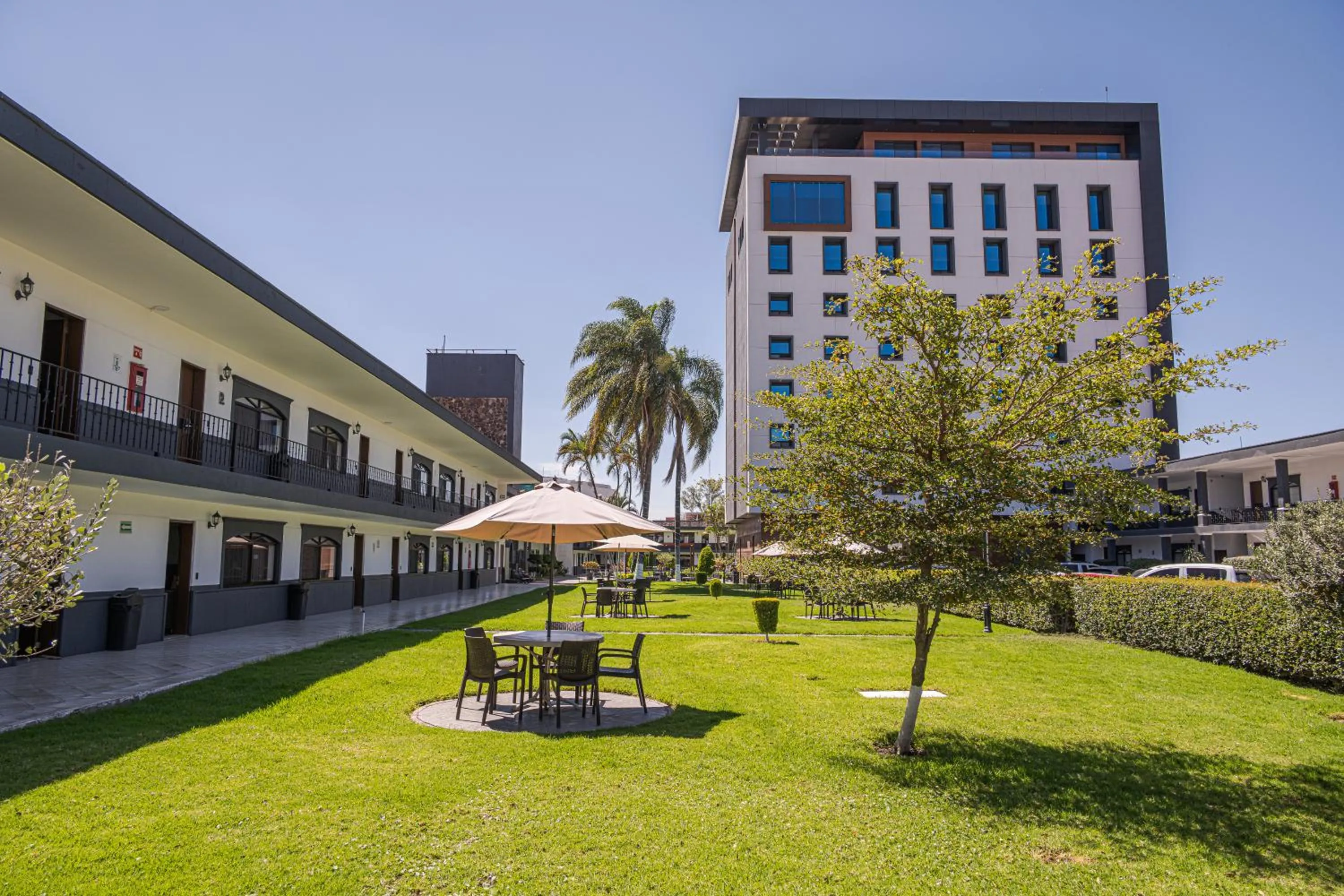 Swimming pool in Hotel Malibu