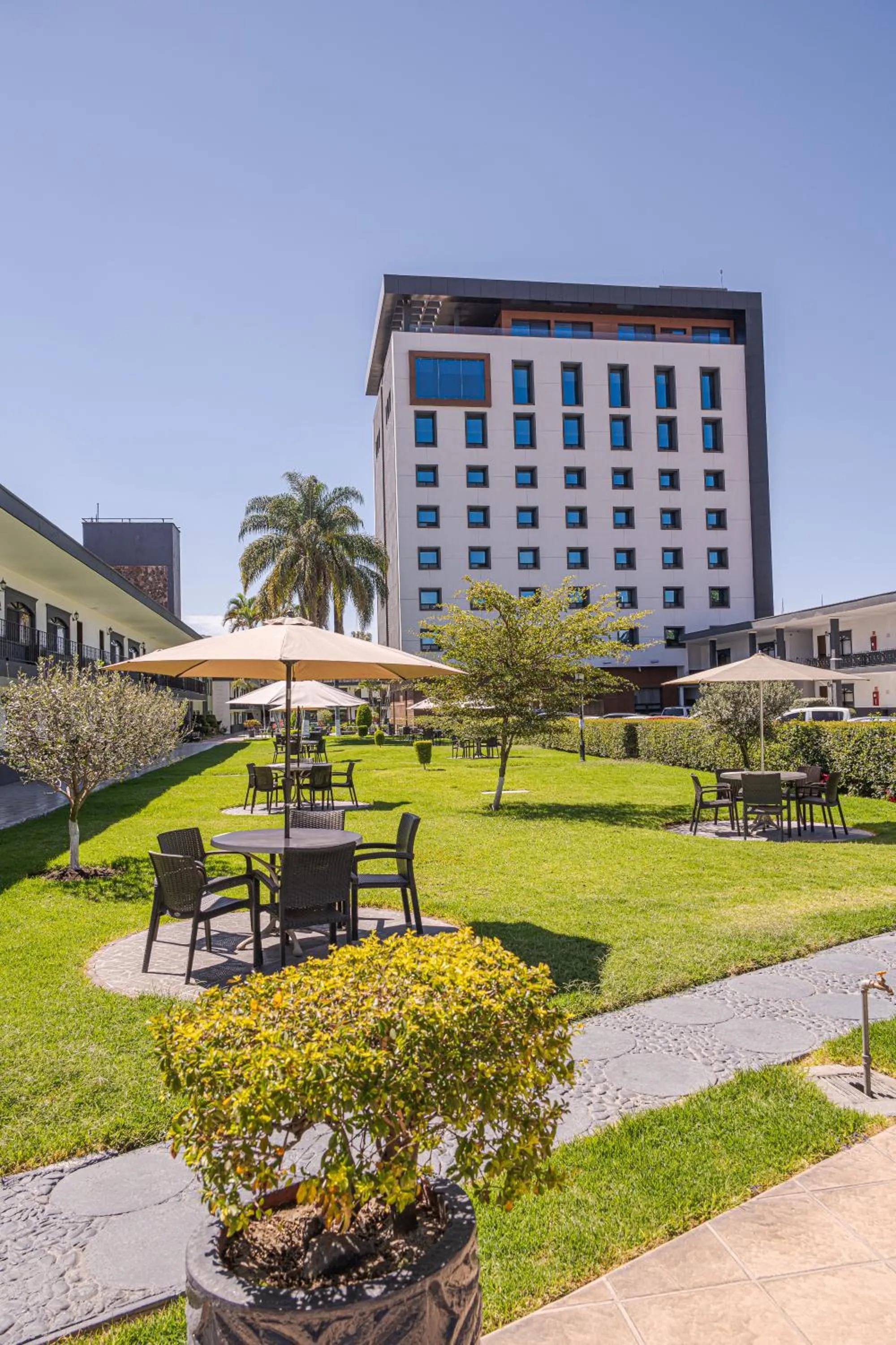 Swimming pool in Hotel Malibu