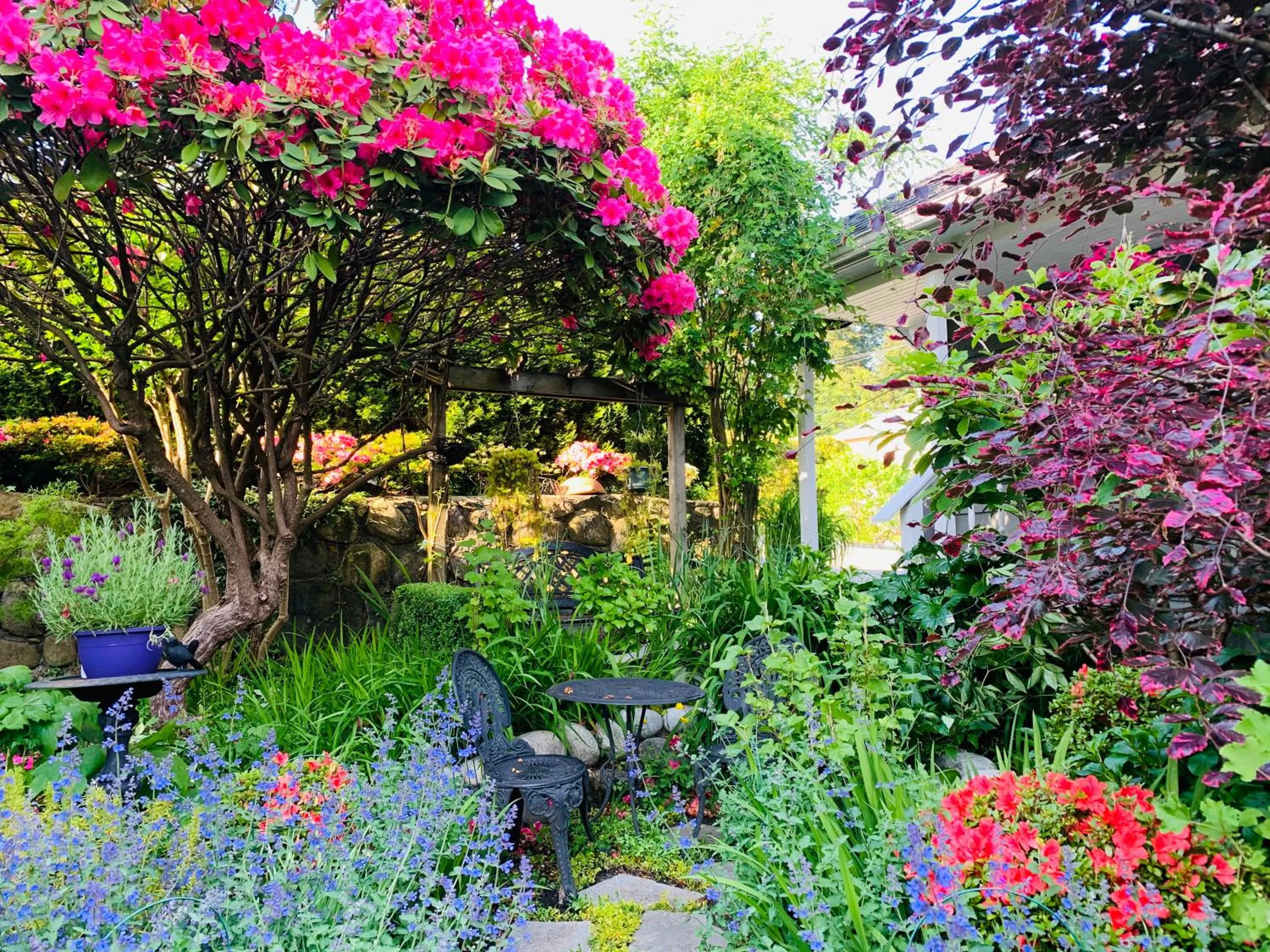 Garden in Crystal's View Bed & Breakfast