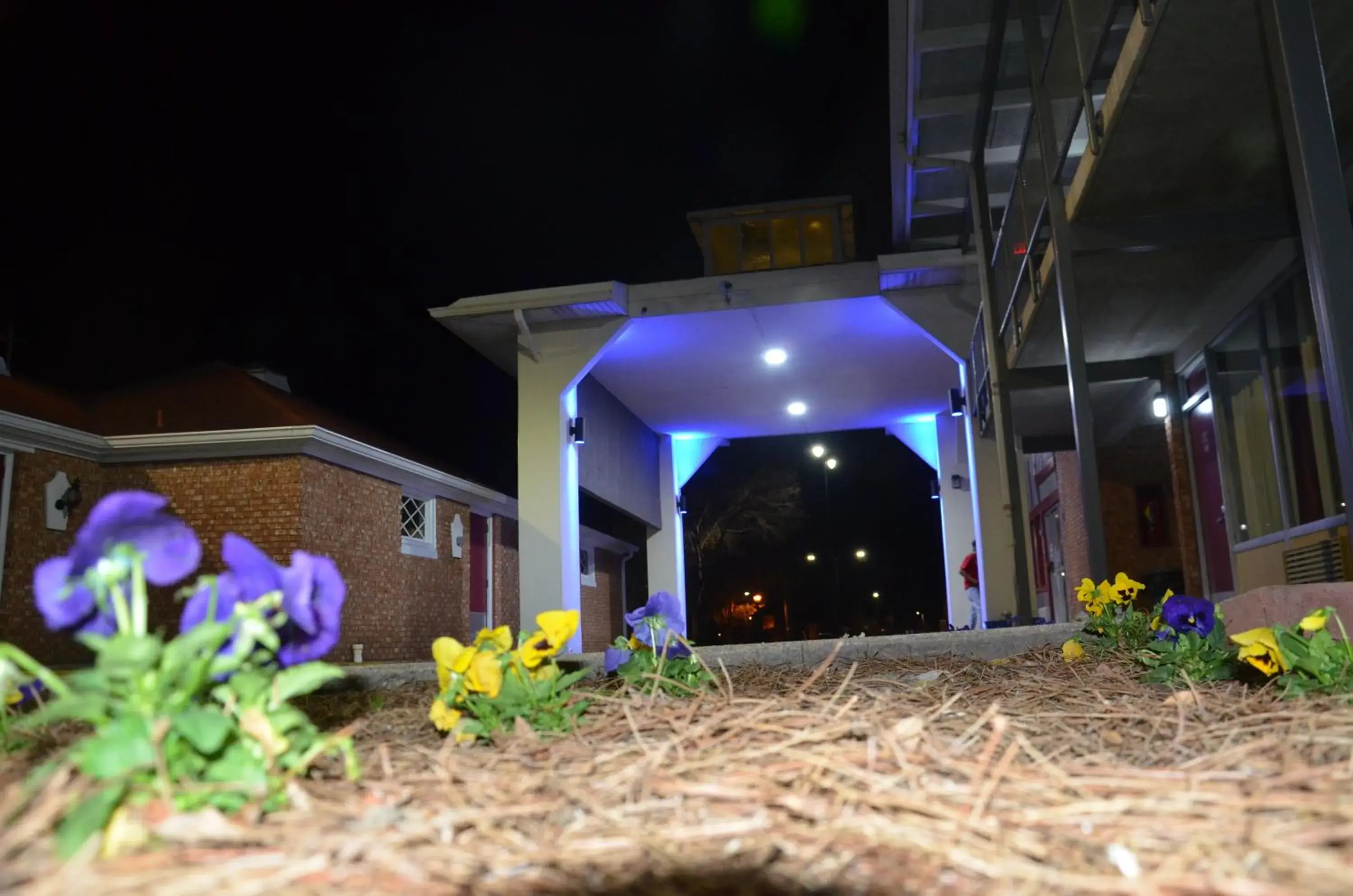 Facade/entrance in Americas Best Value Inn Augusta Downtown