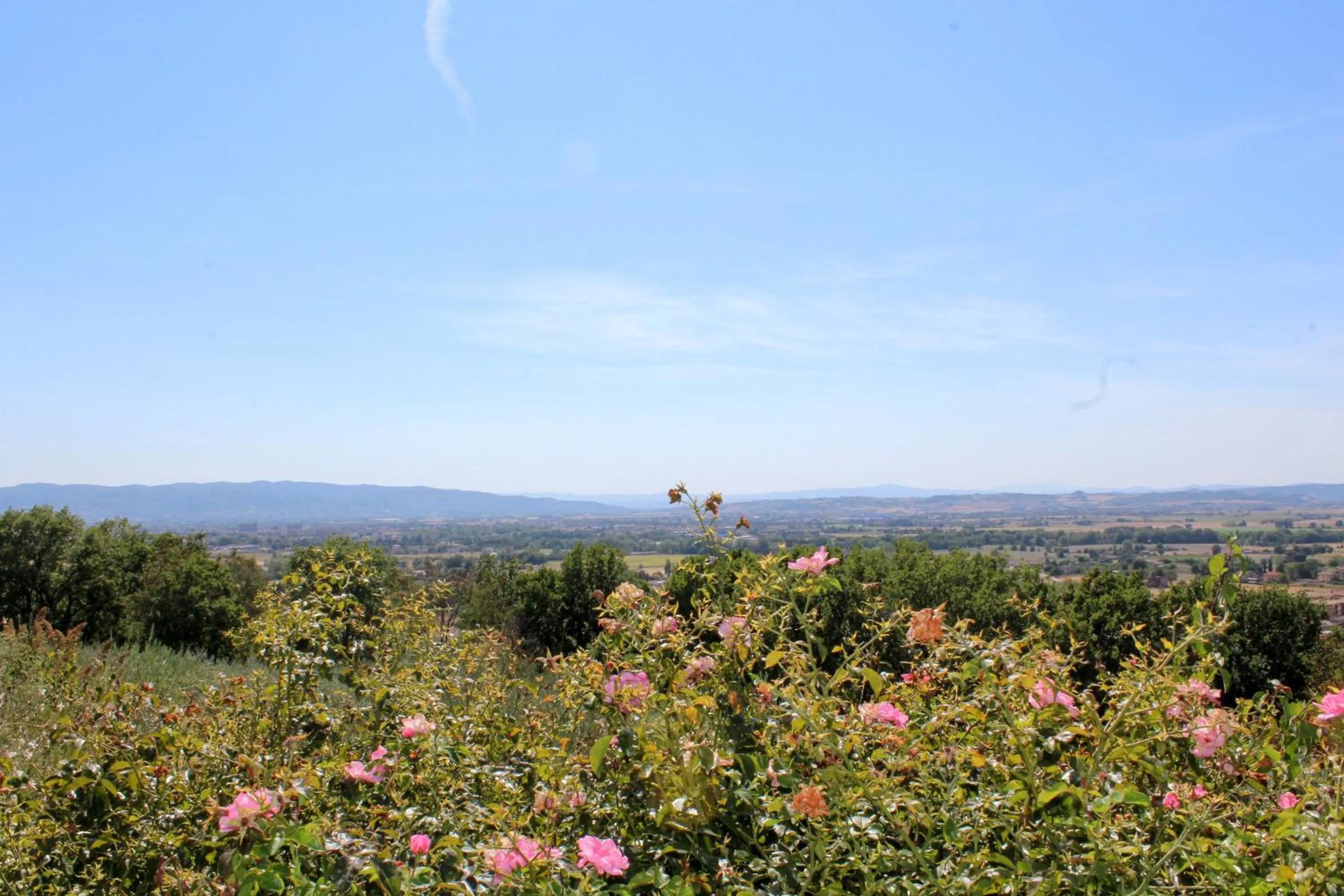 Property building in Amazing Assisi