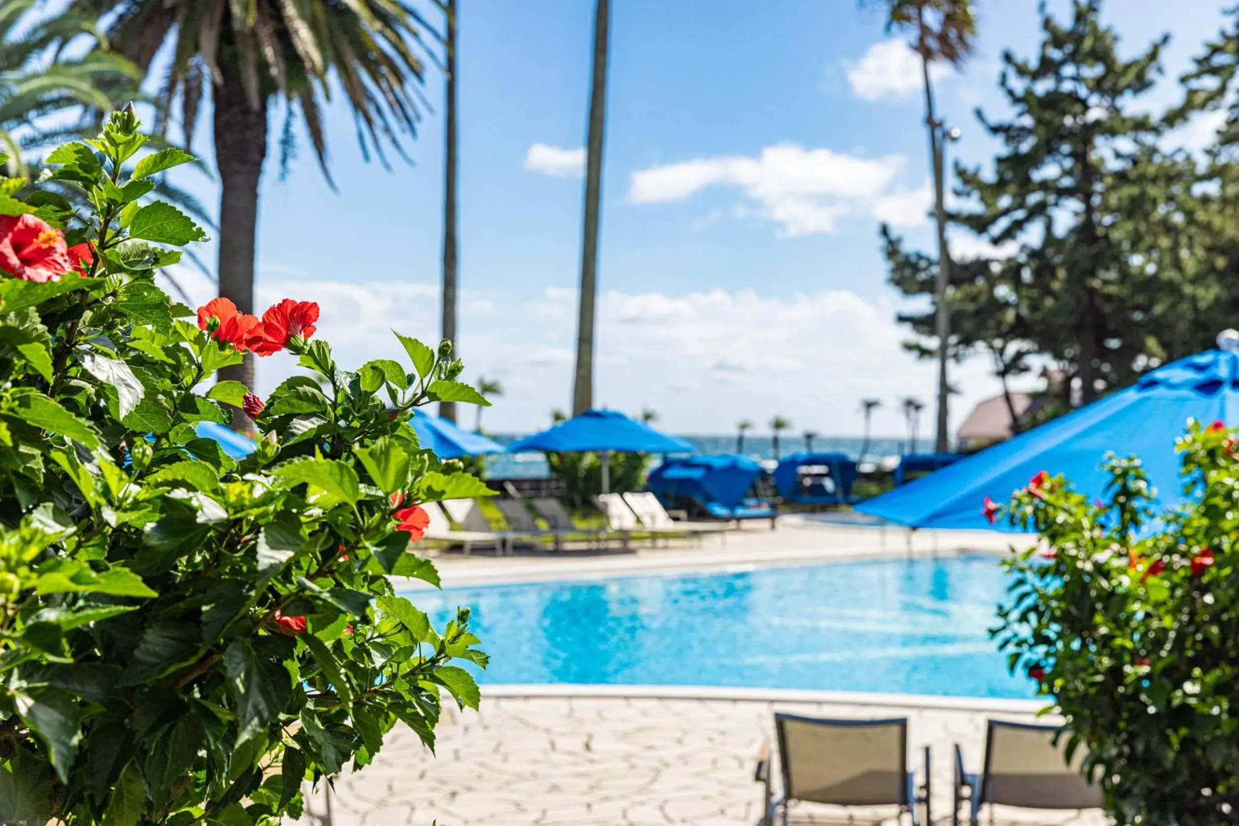 Pool view in Izu Imaihama Tokyu Hotel Pool view in Izu Imaihama Tokyu Hotel